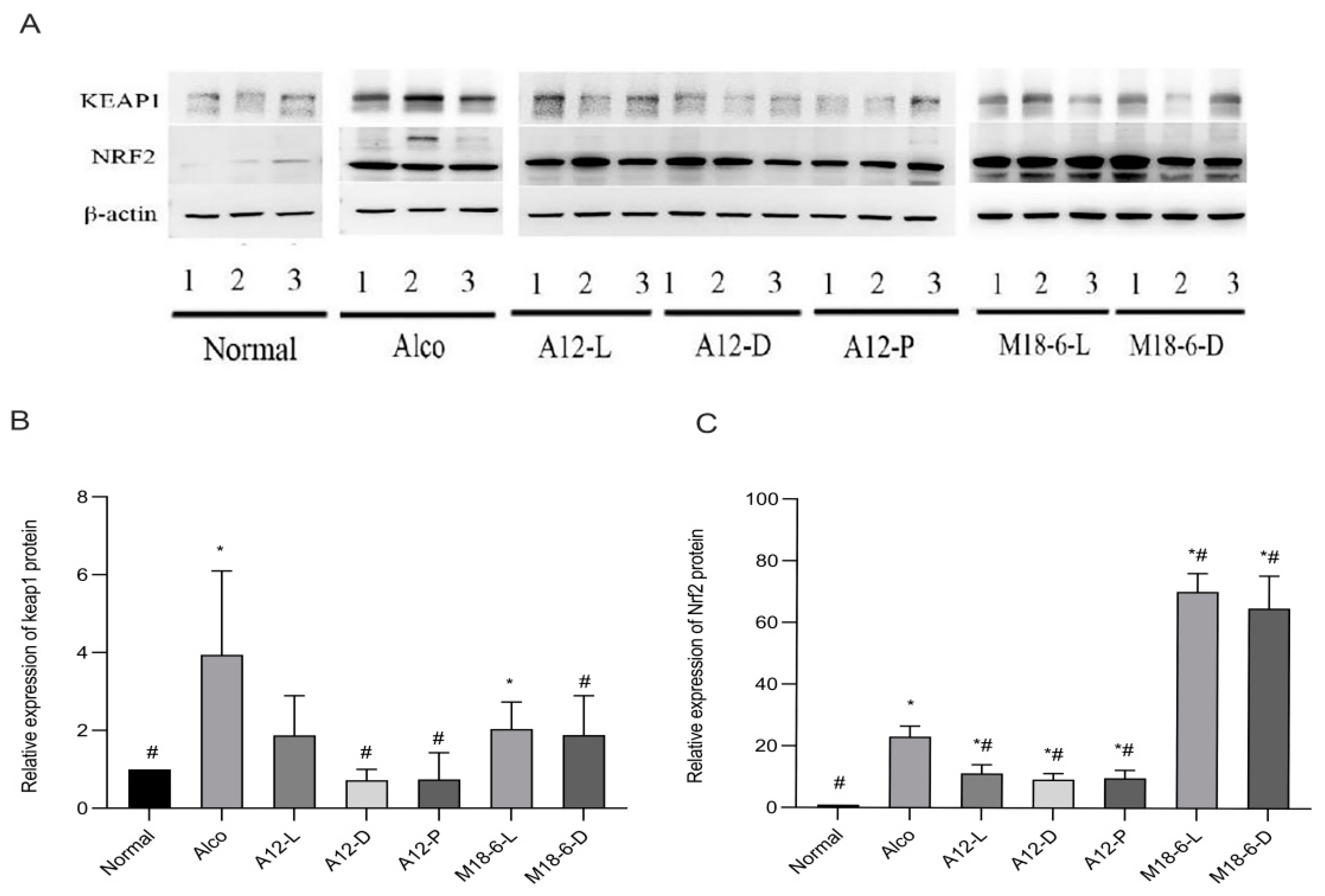Foods 12 00439 g008 Foods 12 00439 g008