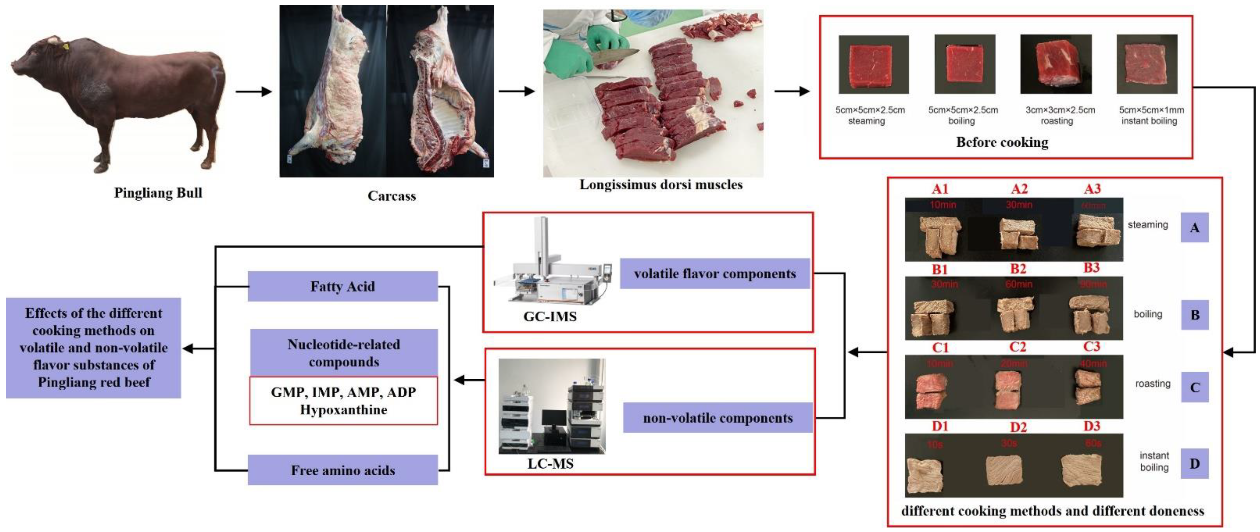 Foods 12 00446 g001 Foods 12 00446 g001