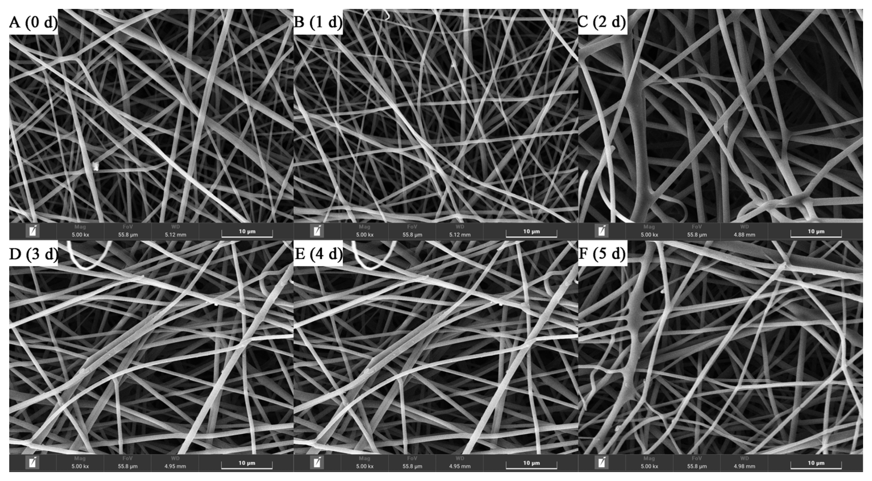 Foods 12 00451 g003 Foods 12 00451 g003