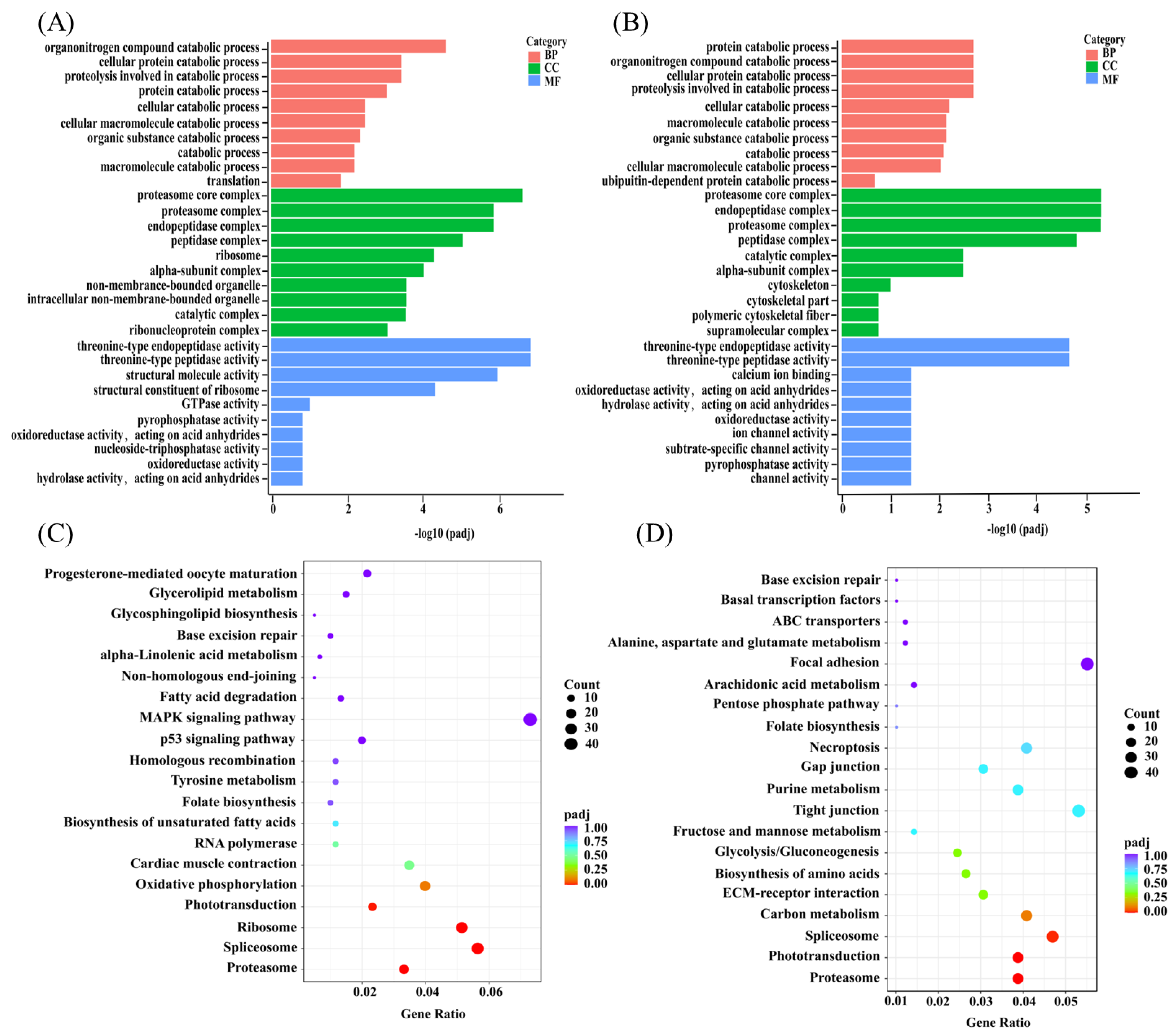 Foods 12 00464 g006 Foods 12 00464 g006