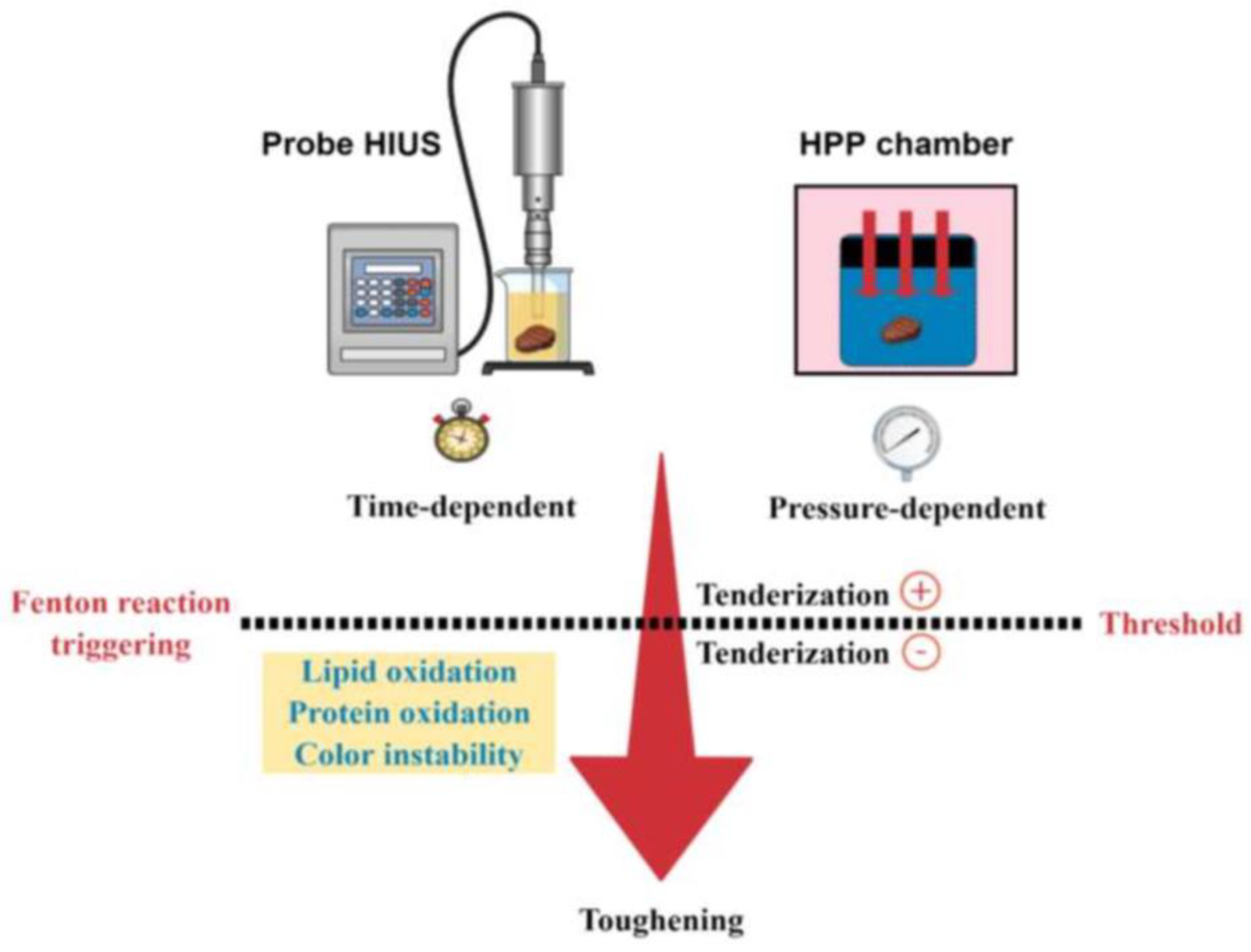 Foods 12 00476 g004 Foods 12 00476 g004