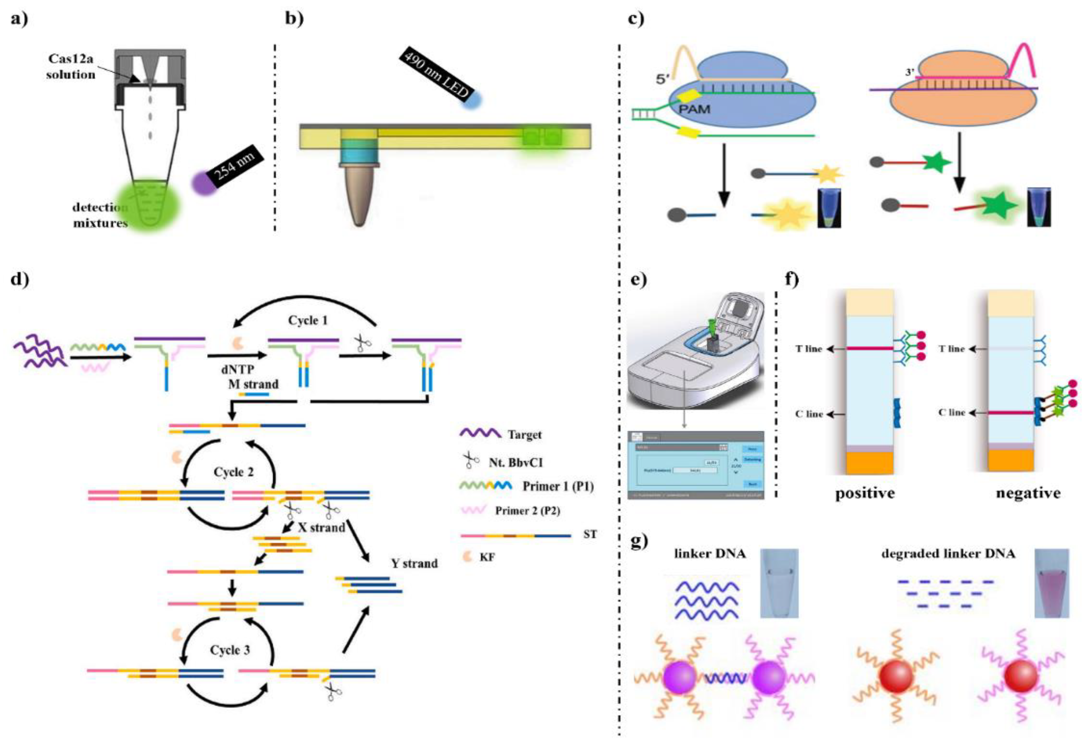 Foods | Free Full-Text | Review of CRISPR/Cas Systems on Detection 
