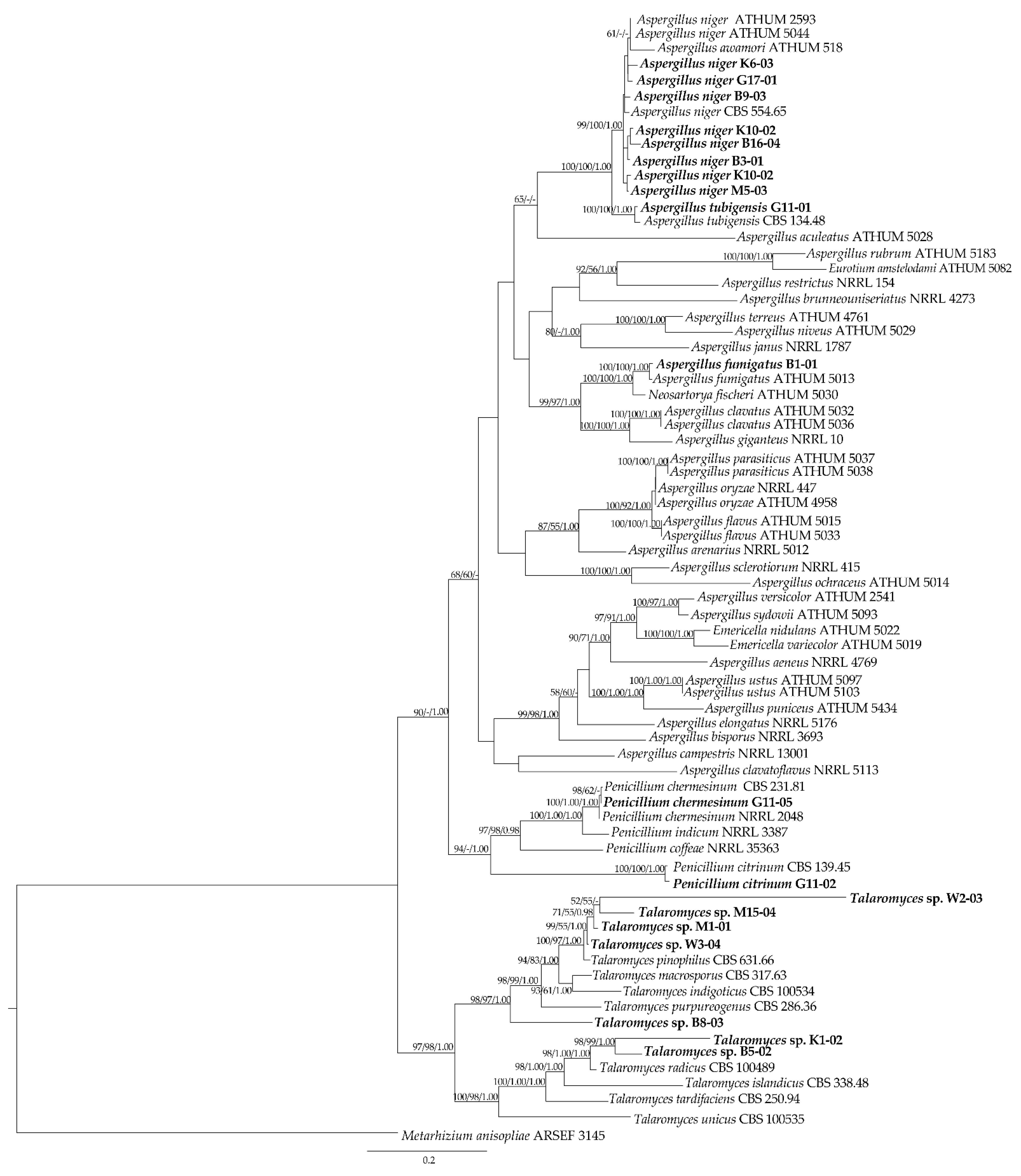 Foods 12 00487 g002 Foods 12 00487 g002