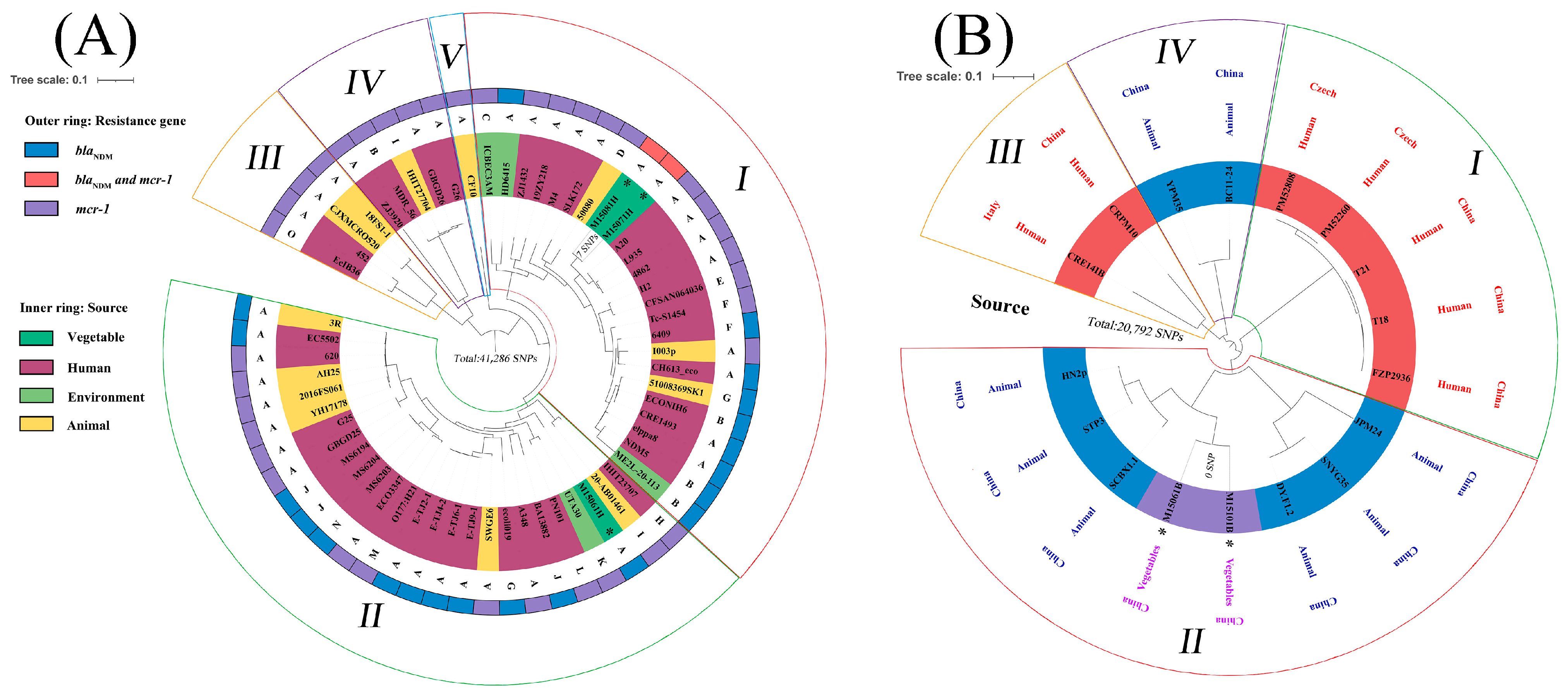 Foods 12 00492 g001 Foods 12 00492 g001