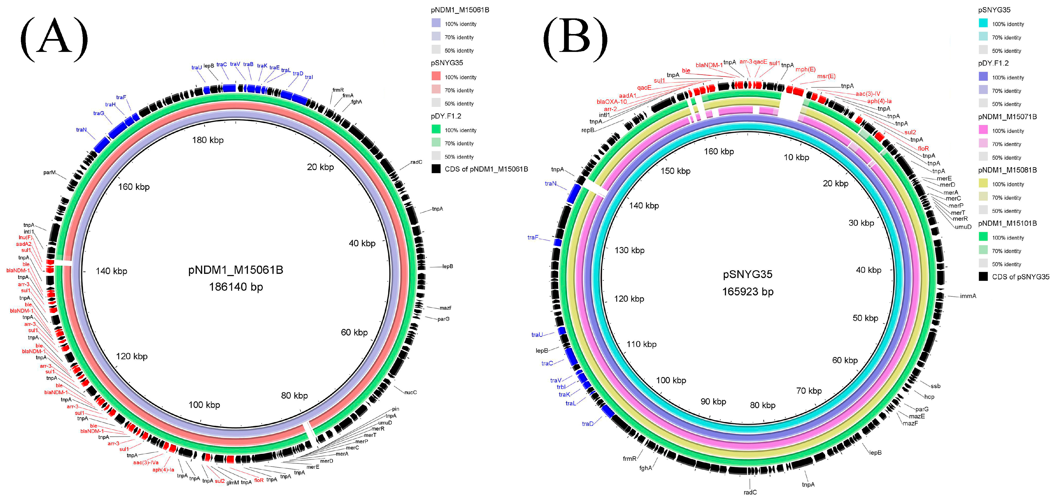 Foods 12 00492 g003 Foods 12 00492 g003