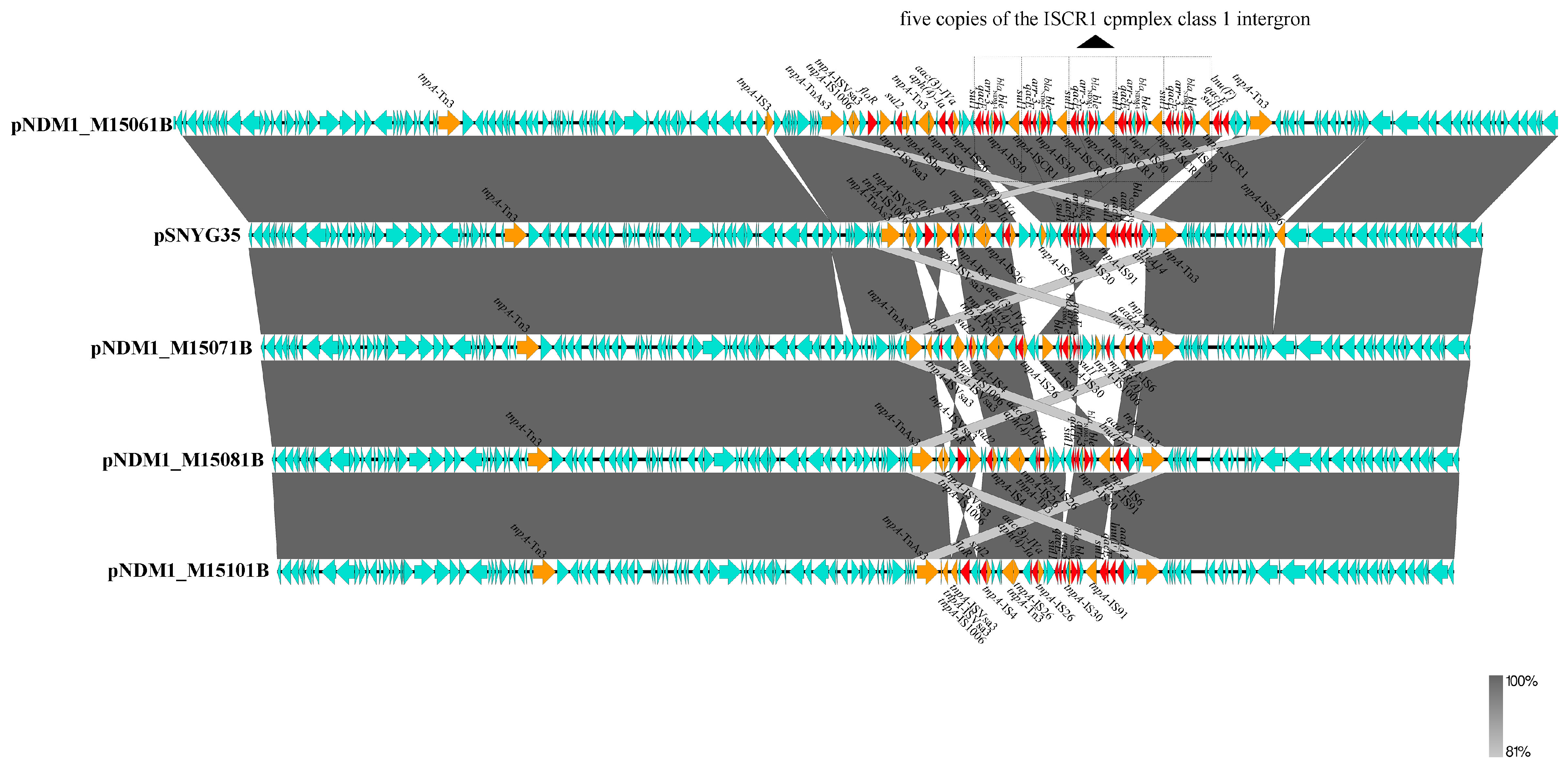 Foods 12 00492 g004 Foods 12 00492 g004