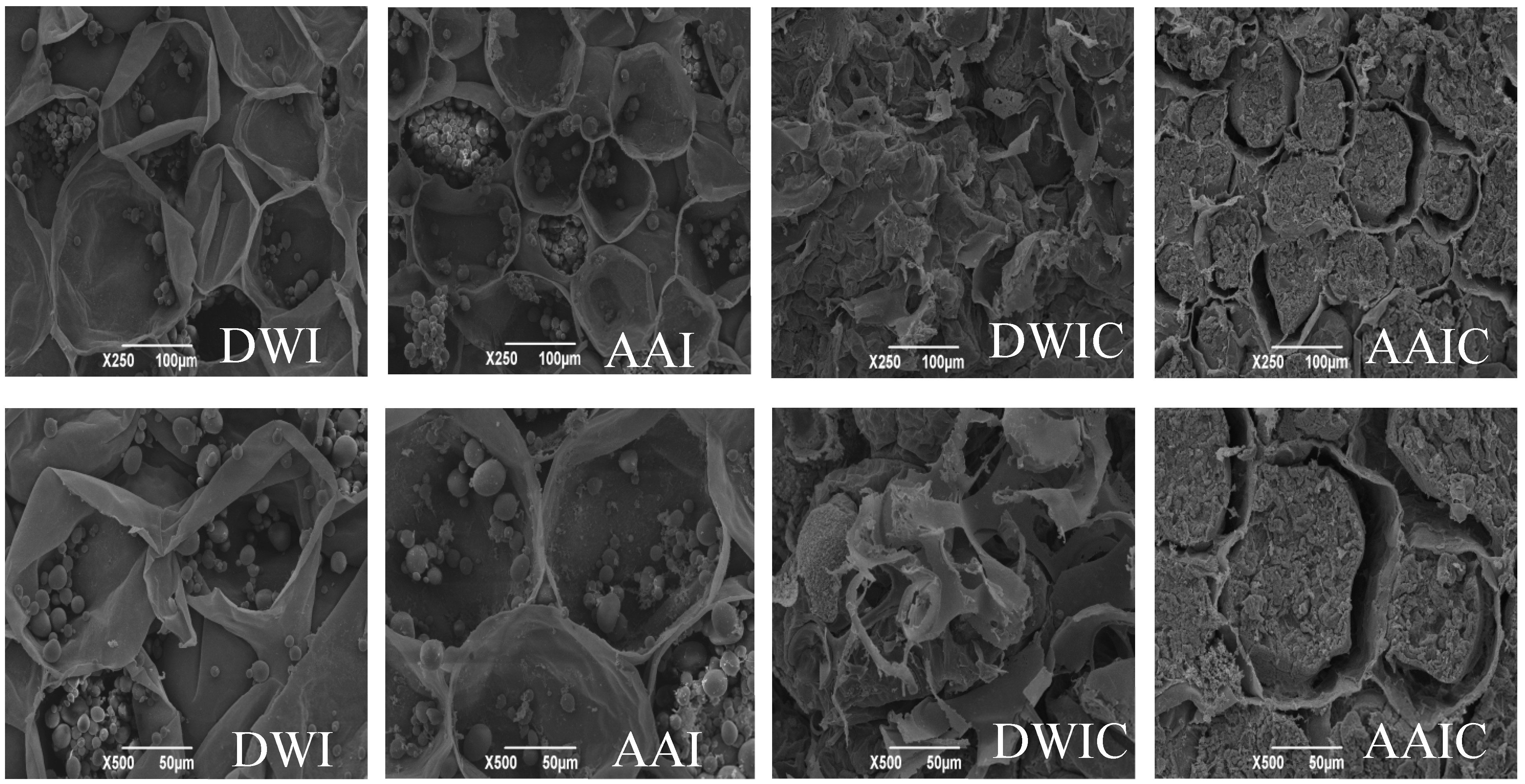 Foods 12 00506 g002 Foods 12 00506 g002