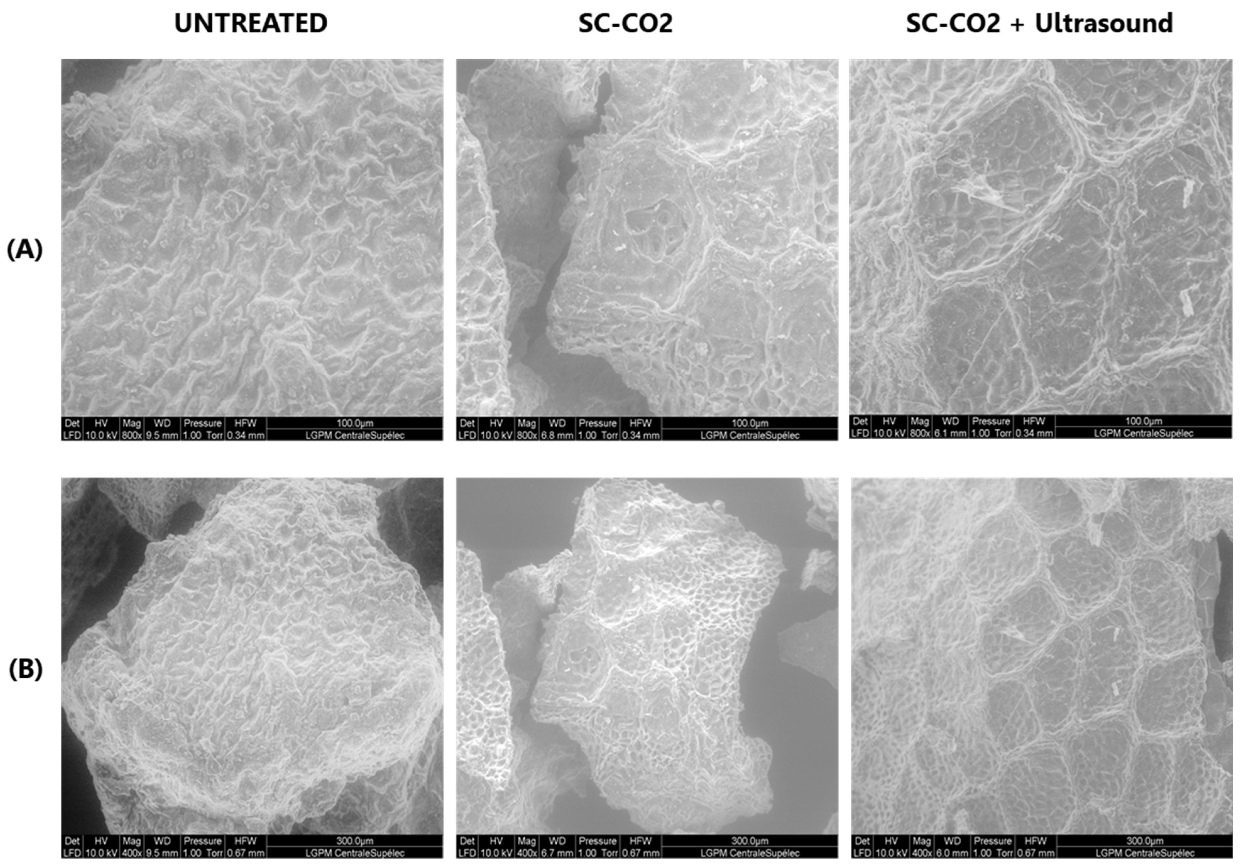 Foods 12 00520 g007 Foods 12 00520 g007