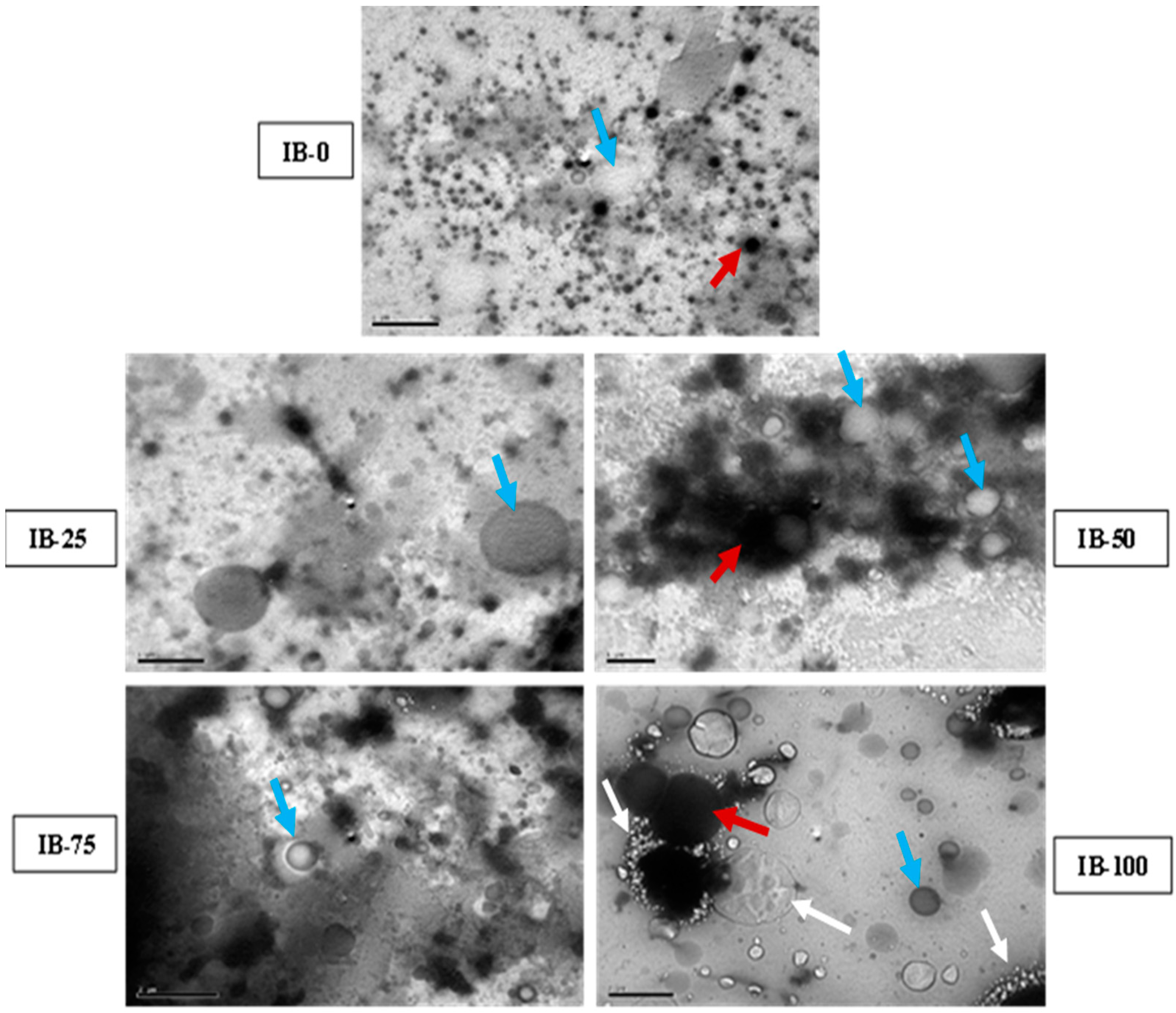 Foods 12 00533 g003 Foods 12 00533 g003