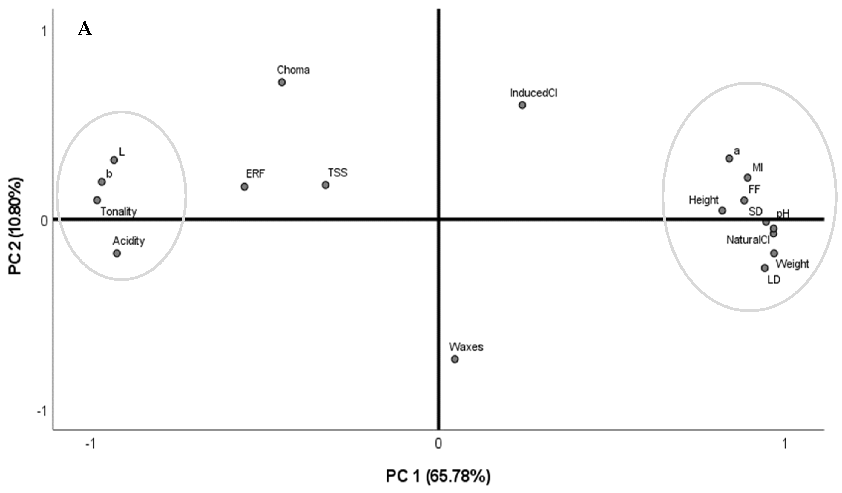 Foods 12 00543 g003a