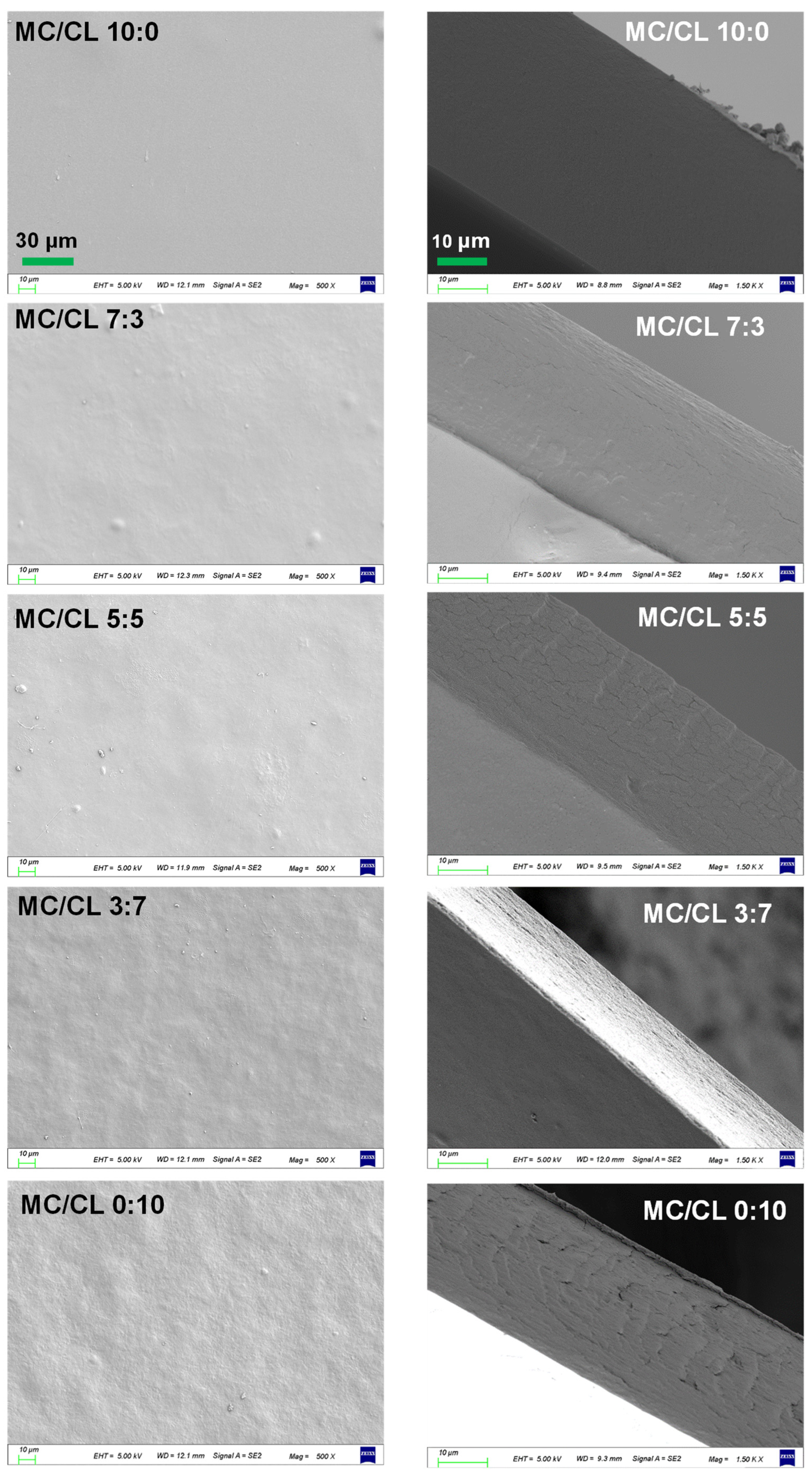 Foods 12 00547 g004 Foods 12 00547 g004