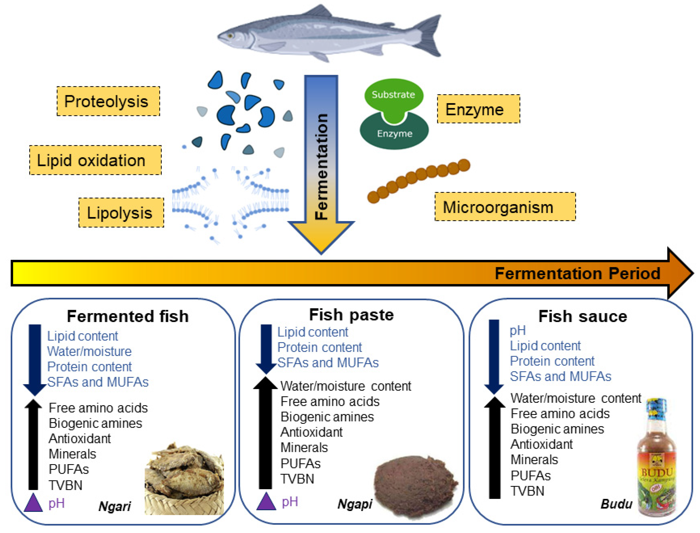 Foods Free FullText A Comprehensive Review with Future Insights on