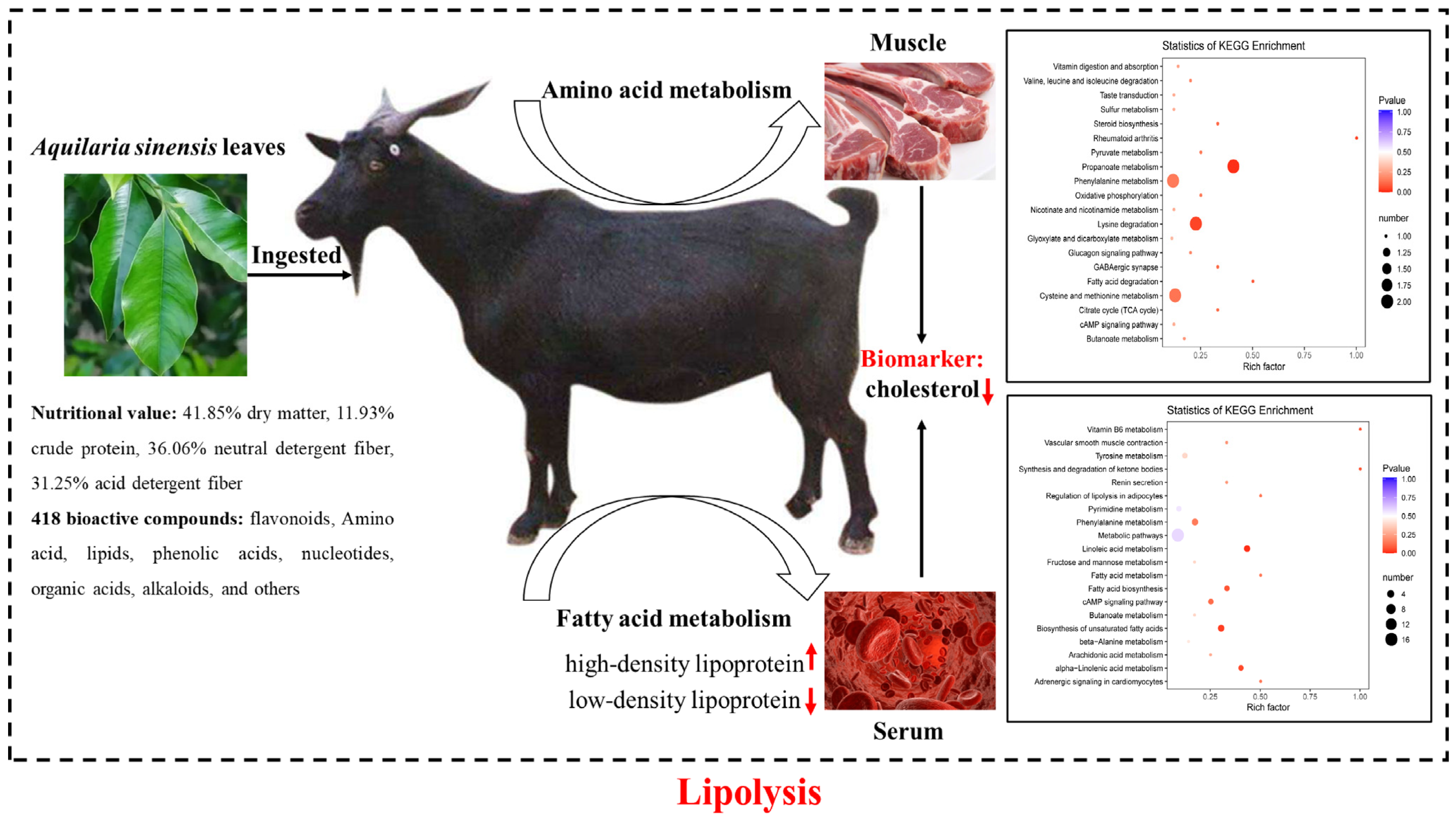 Foods 12 00560 g005 Foods 12 00560 g005