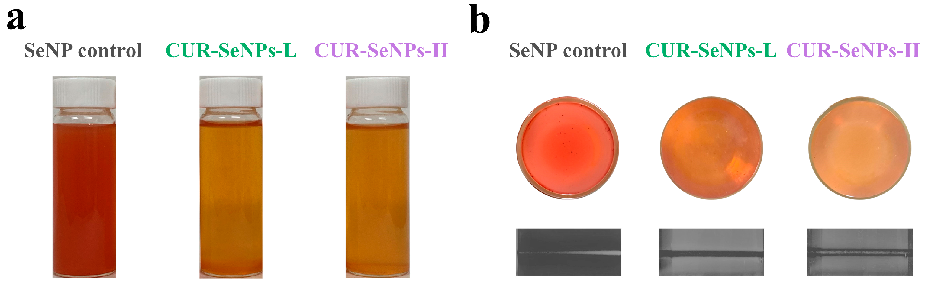Foods 12 00563 g001 Foods 12 00563 g001