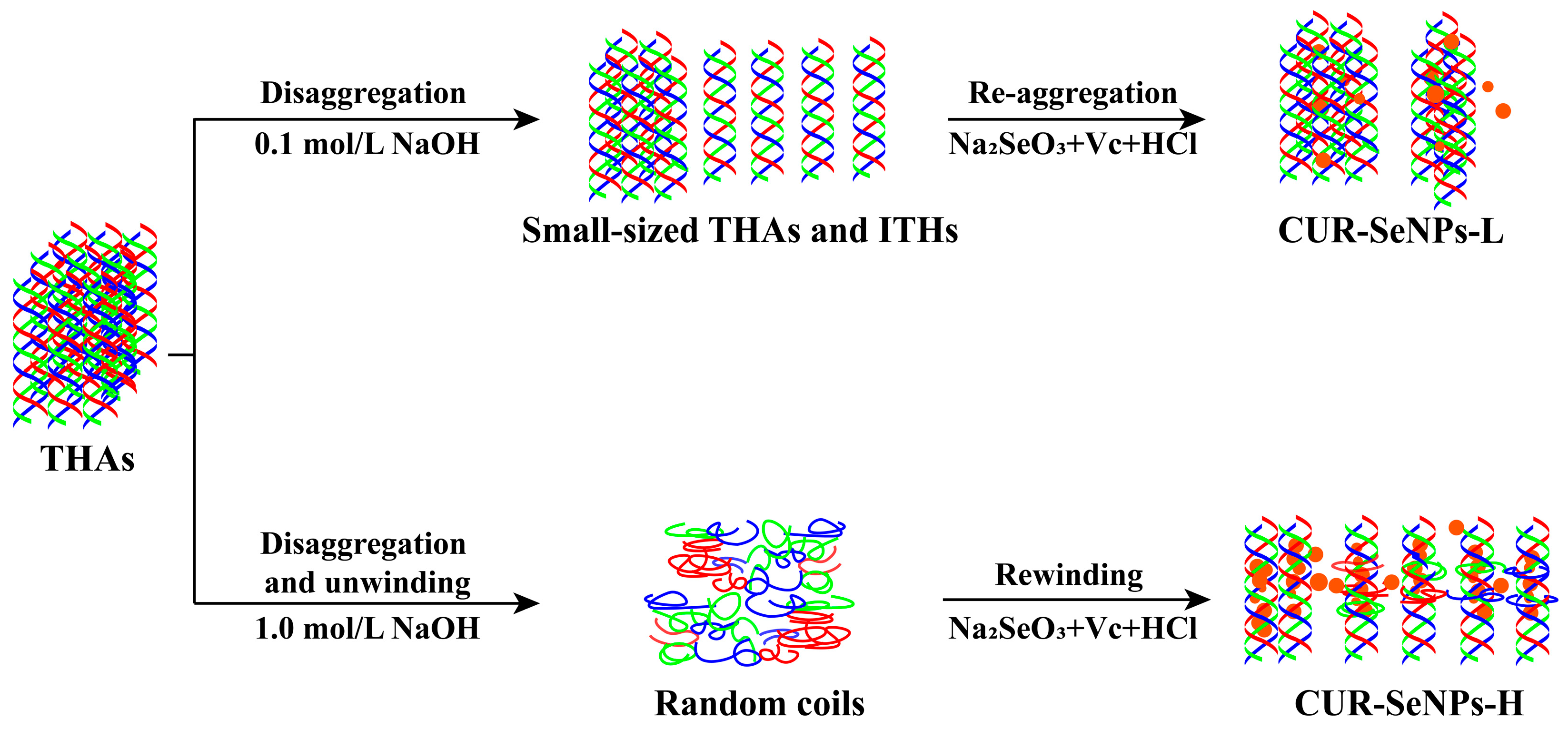 Foods 12 00563 g007 Foods 12 00563 g007