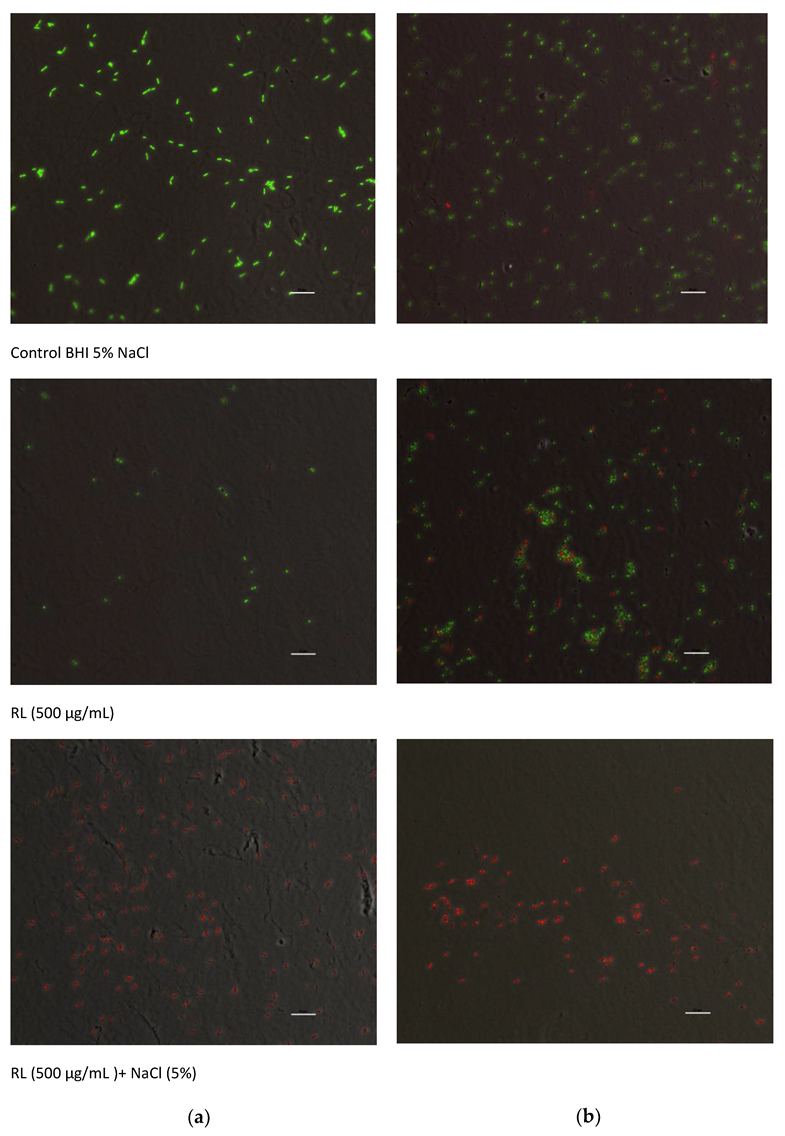 Foods 12 00570 g004 Foods 12 00570 g004