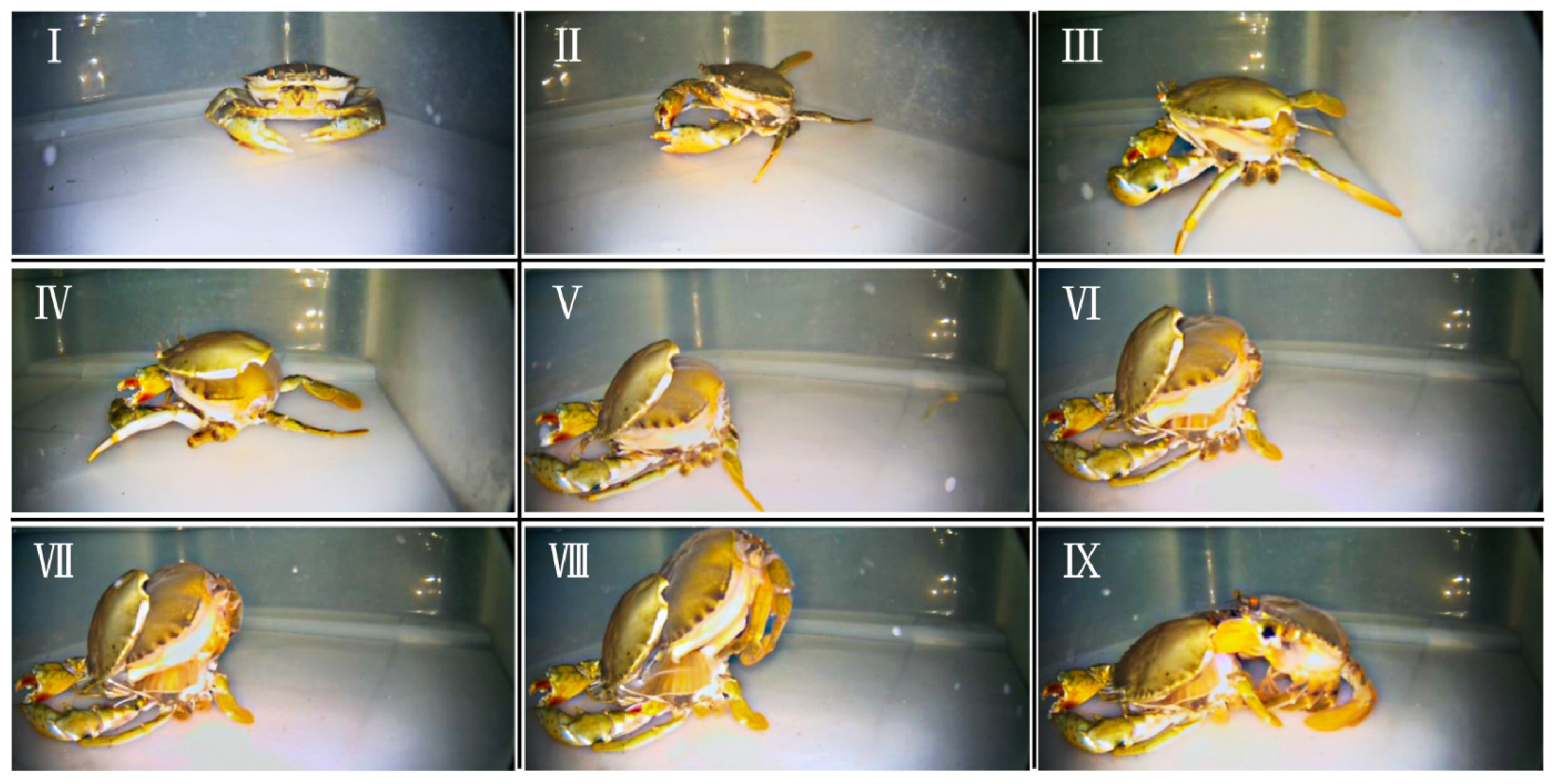 Foods 12 00583 g001 Foods 12 00583 g001