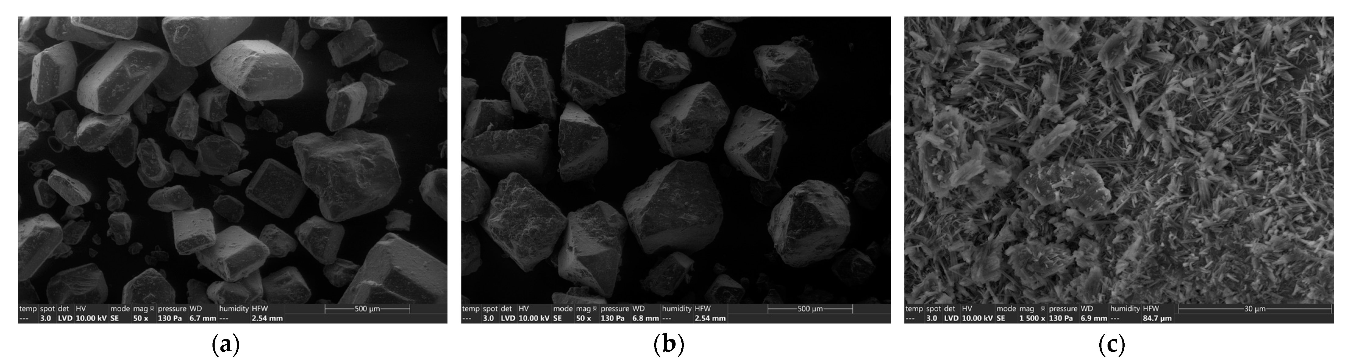 Foods 12 00607 g002 550