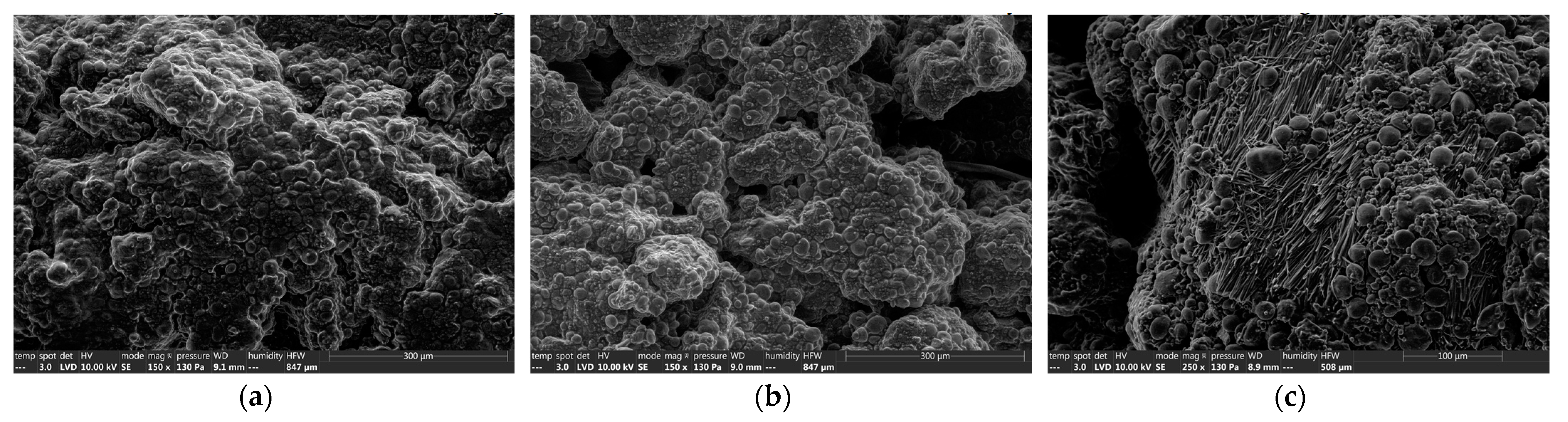 Foods 12 00607 g003 550