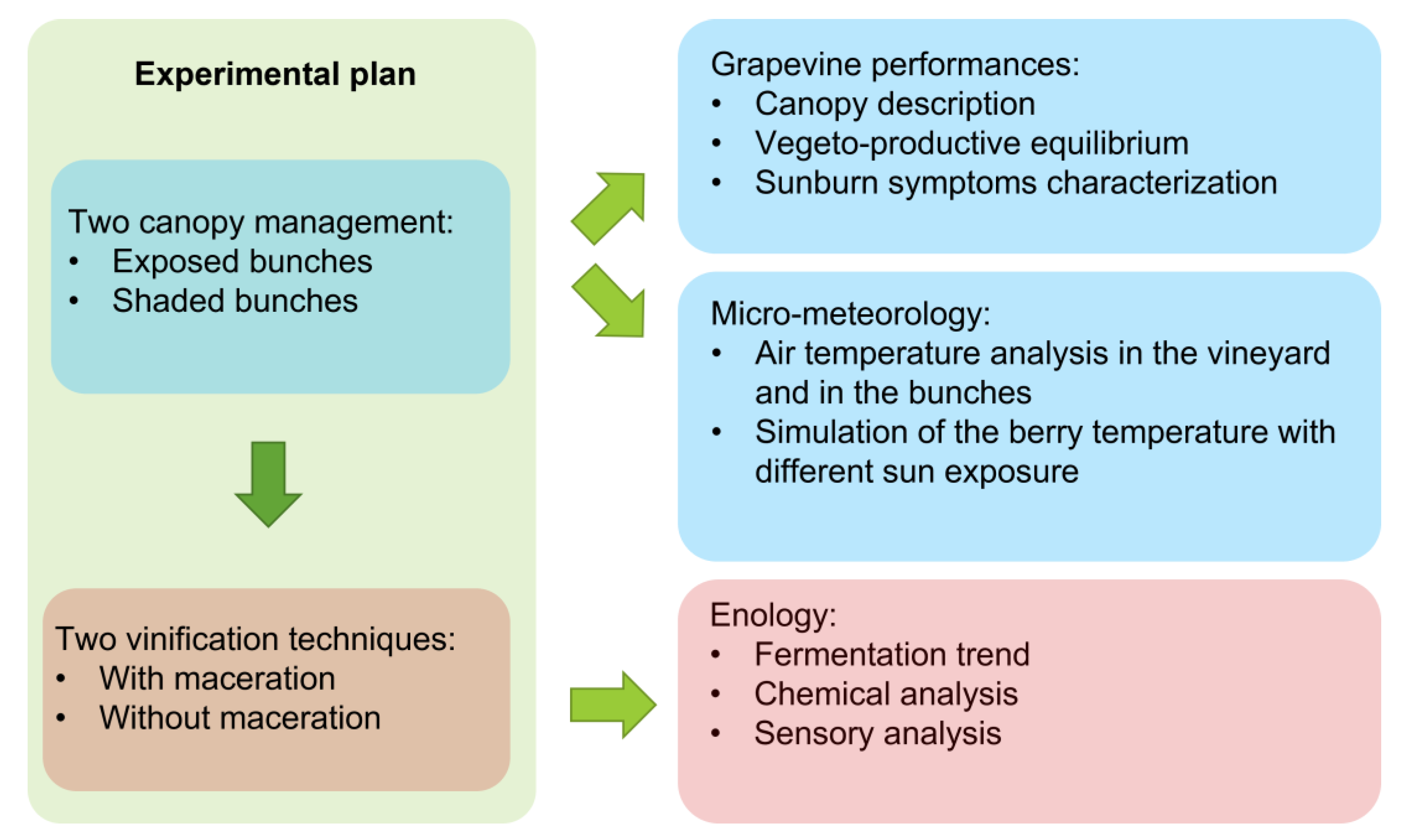 Foods 12 00621 g001 Foods 12 00621 g001