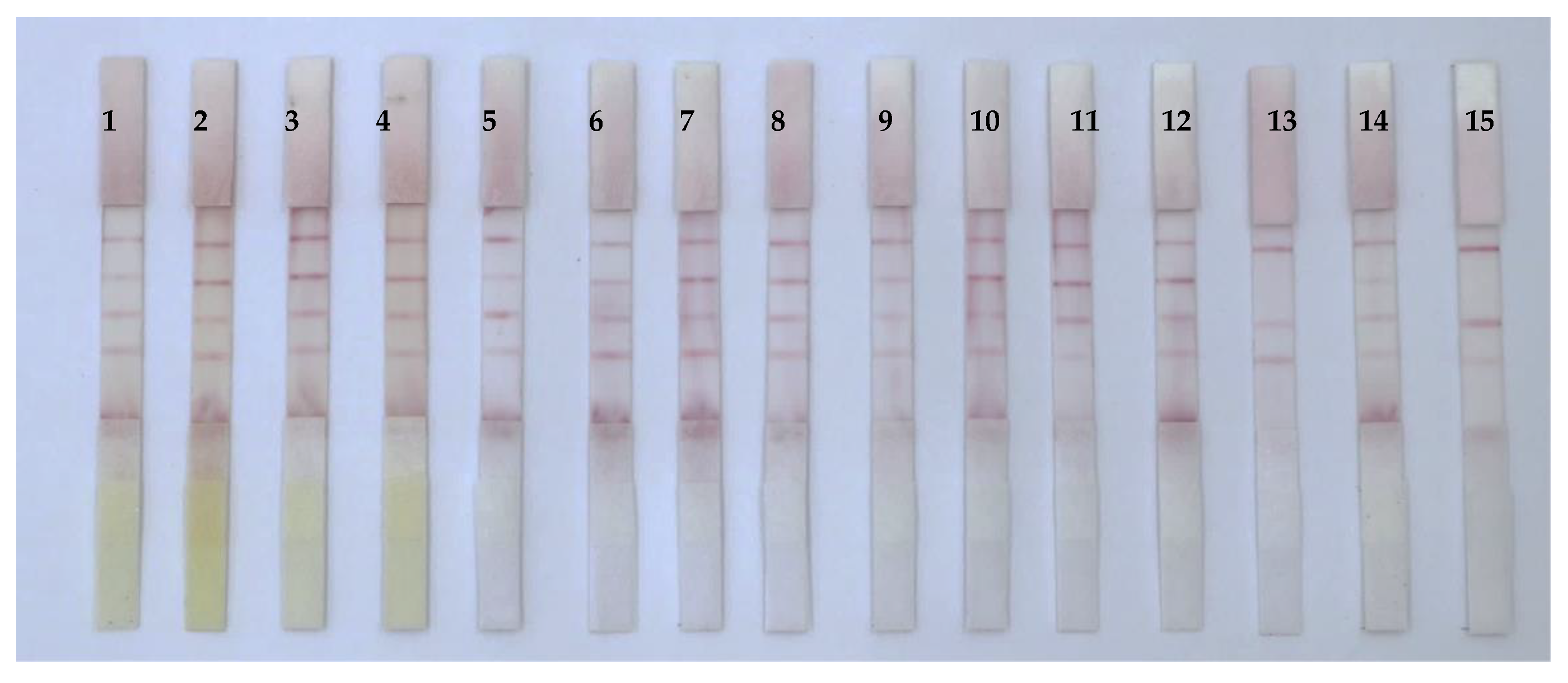 Foods 12 00633 g008a