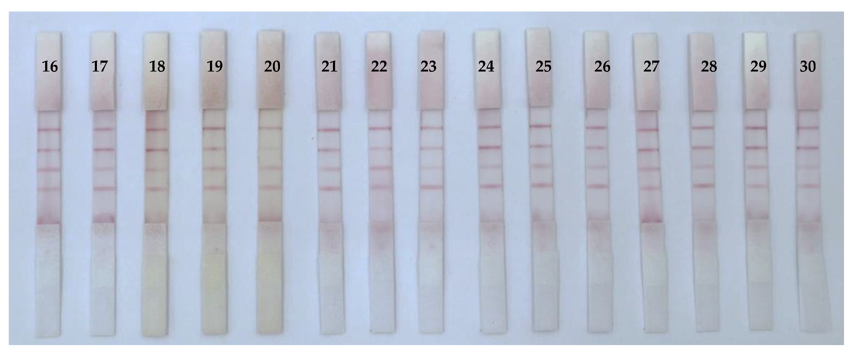 Foods 12 00633 g008b