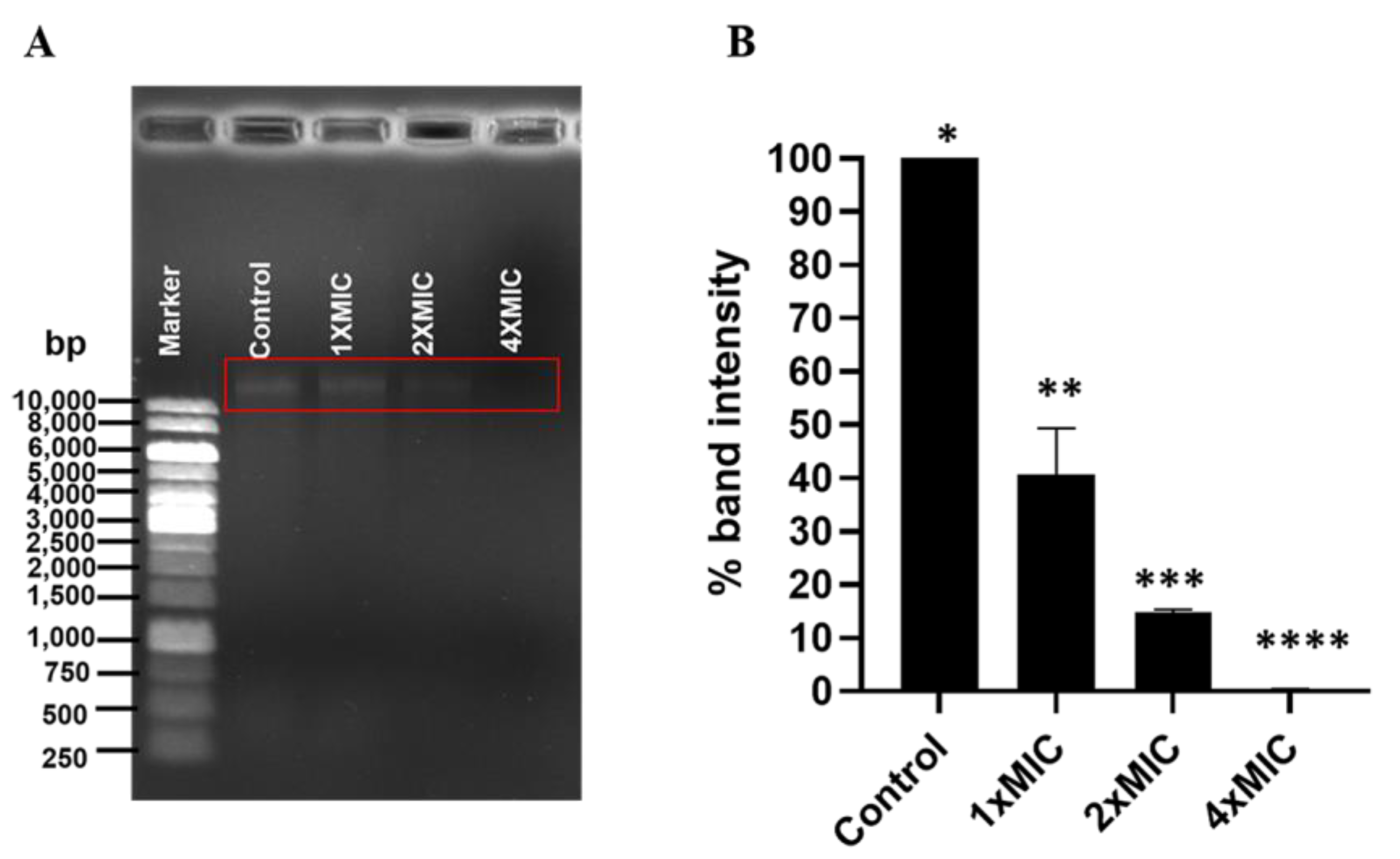 Foods 12 00634 g006 Foods 12 00634 g006