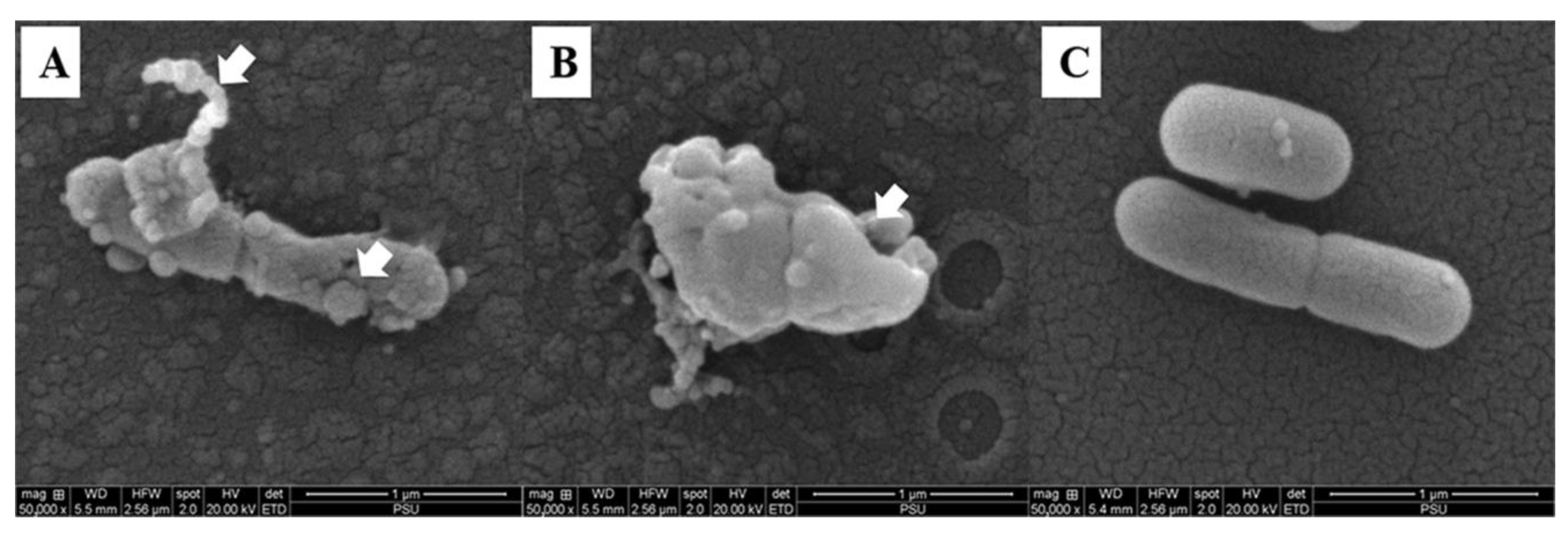 Foods 12 00634 g008 Foods 12 00634 g008