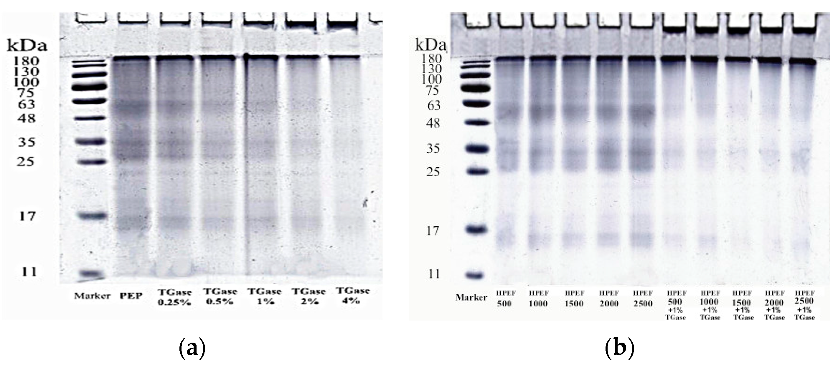 Foods 12 00647 g003 550