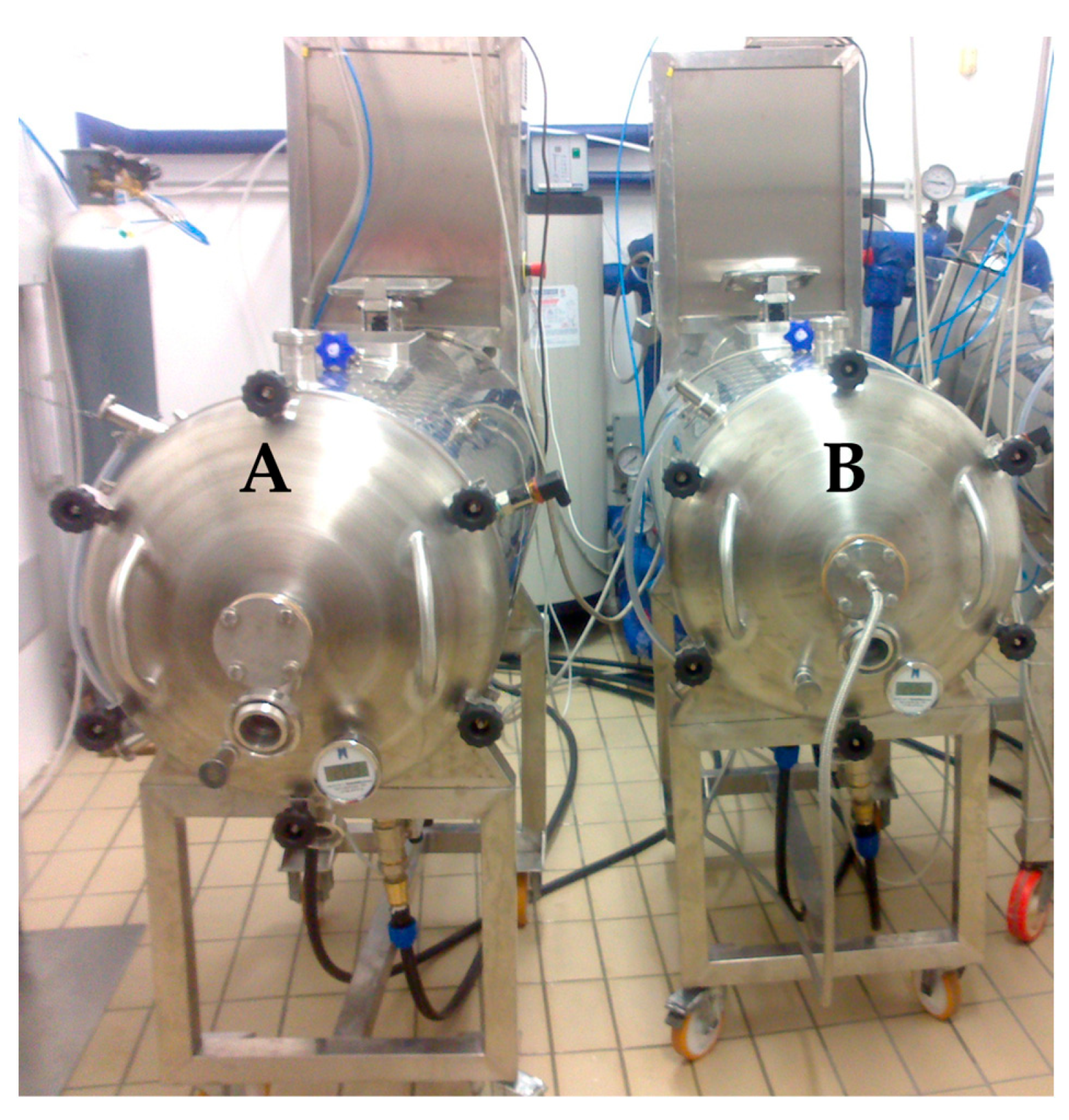 Foods 12 00648 g001 550