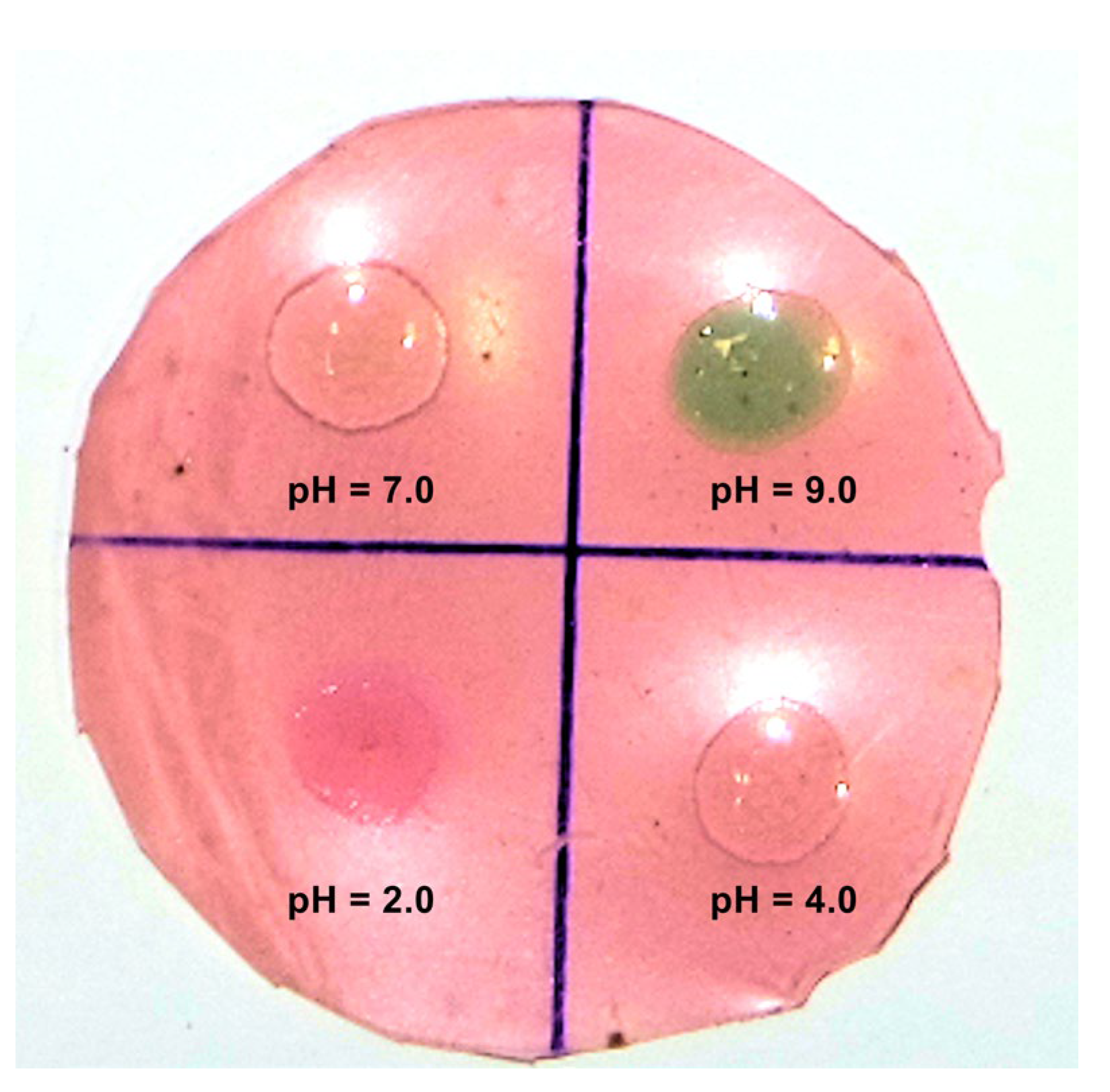 Foods 12 00653 g008 Foods 12 00653 g008
