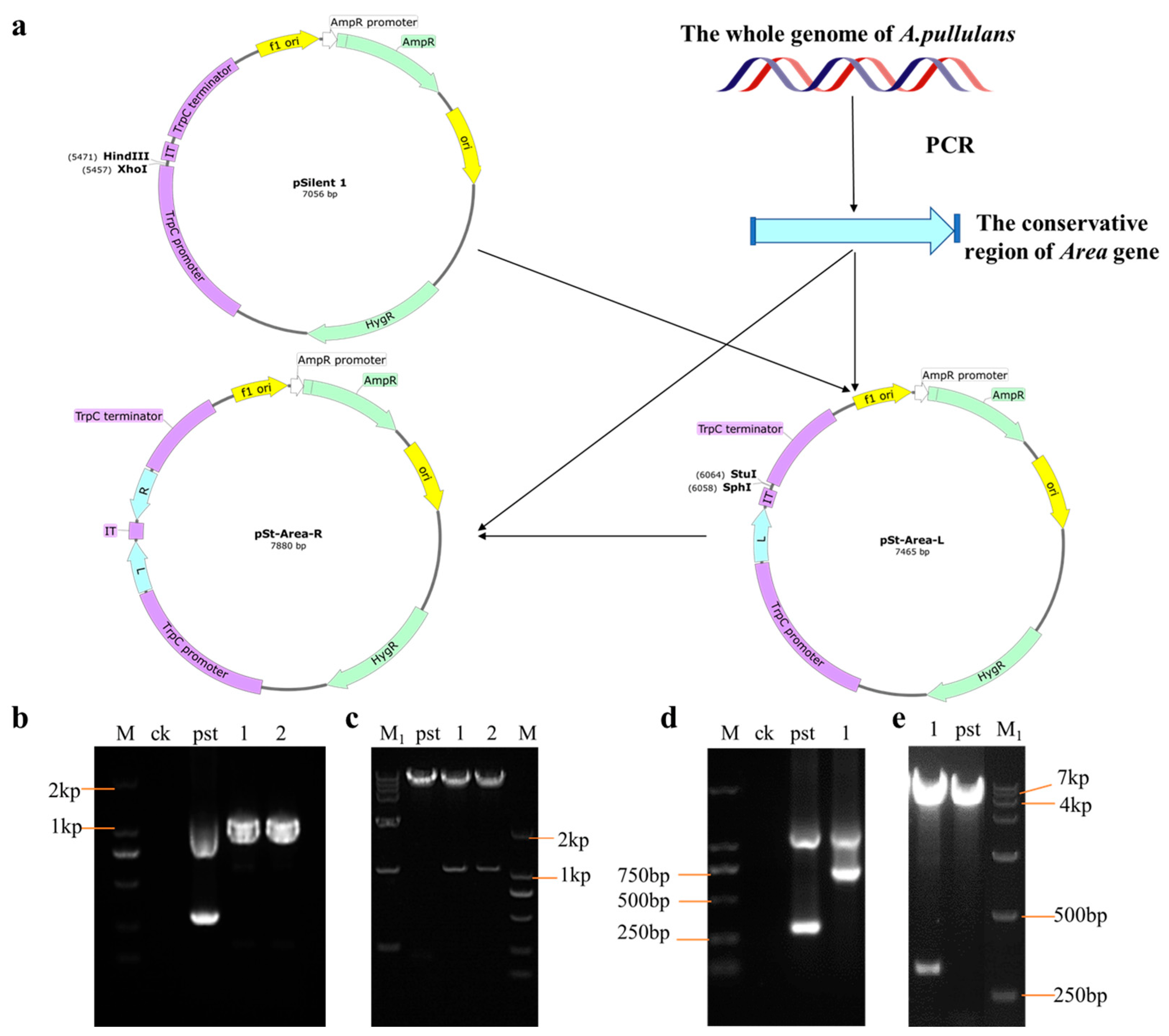 Foods 12 00660 g004 550