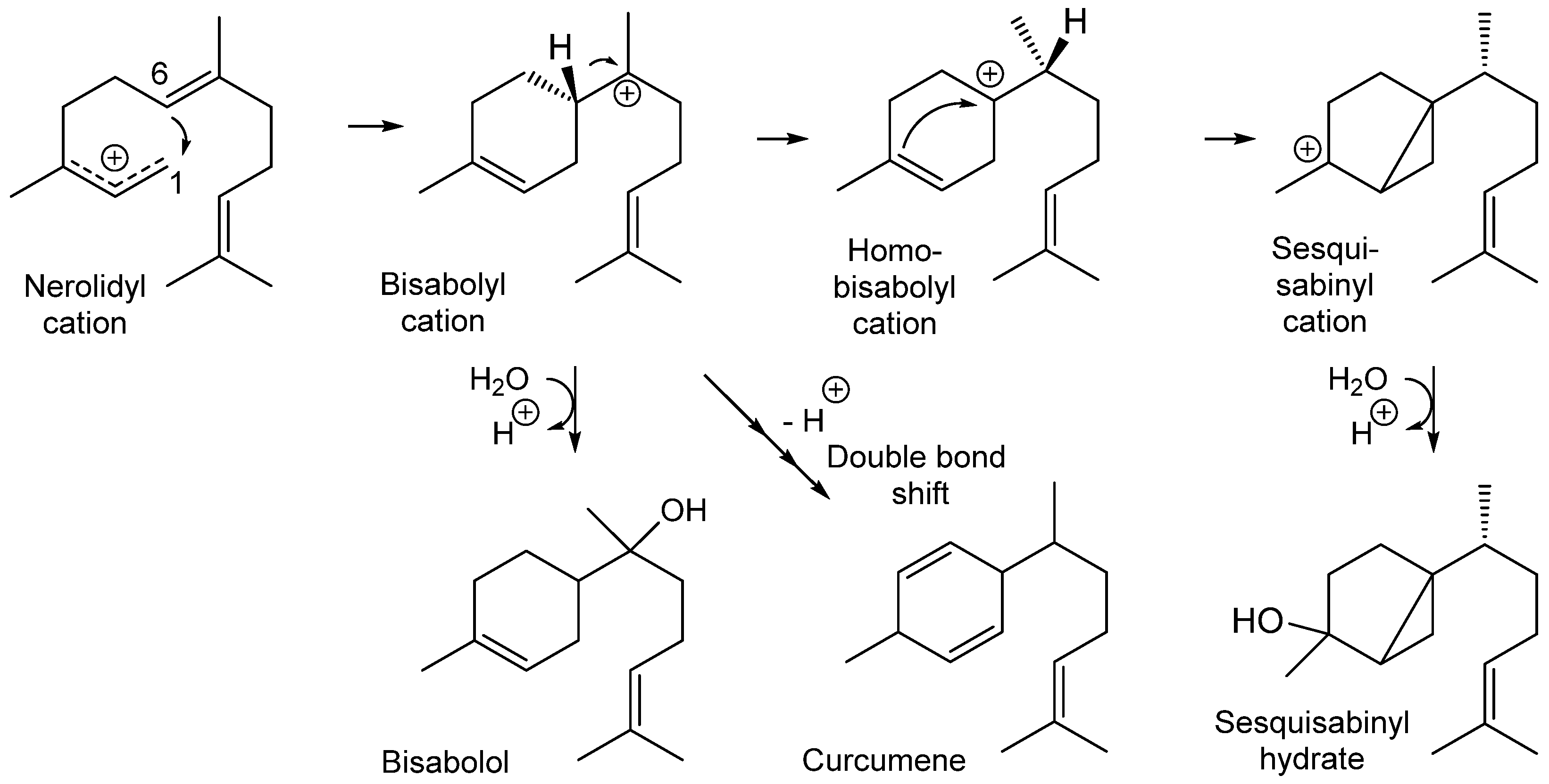 Foods 12 00668 sch001