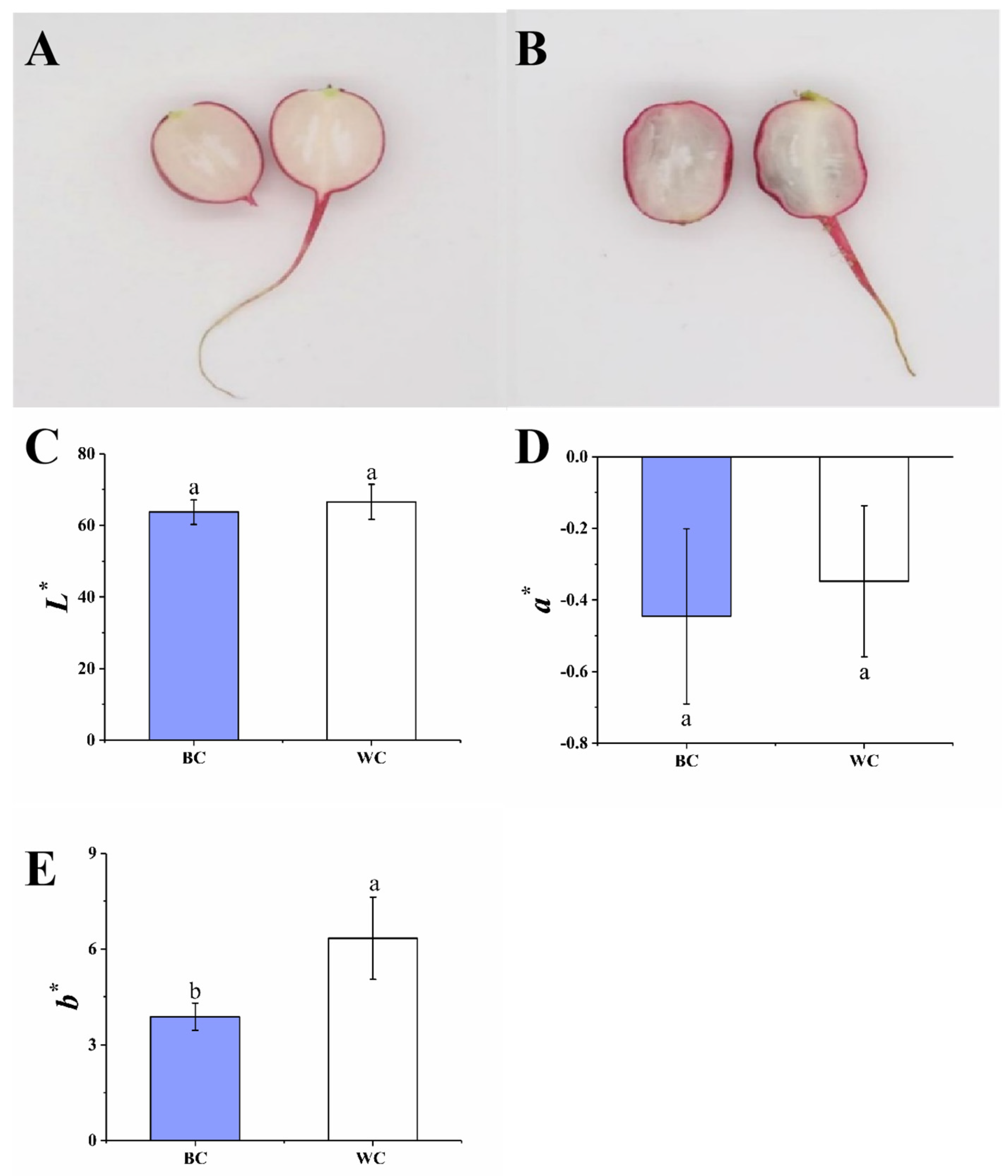 Foods 12 00677 g001 Foods 12 00677 g001
