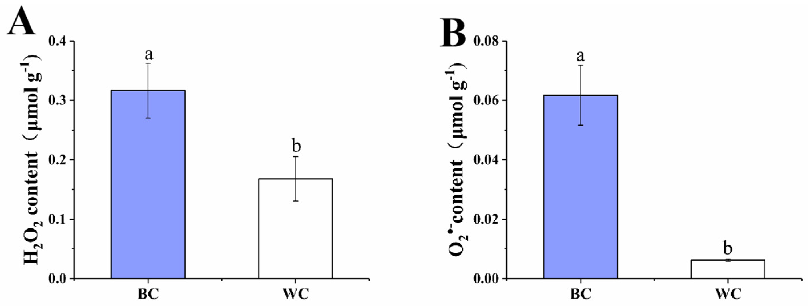 Foods 12 00677 g003 Foods 12 00677 g003