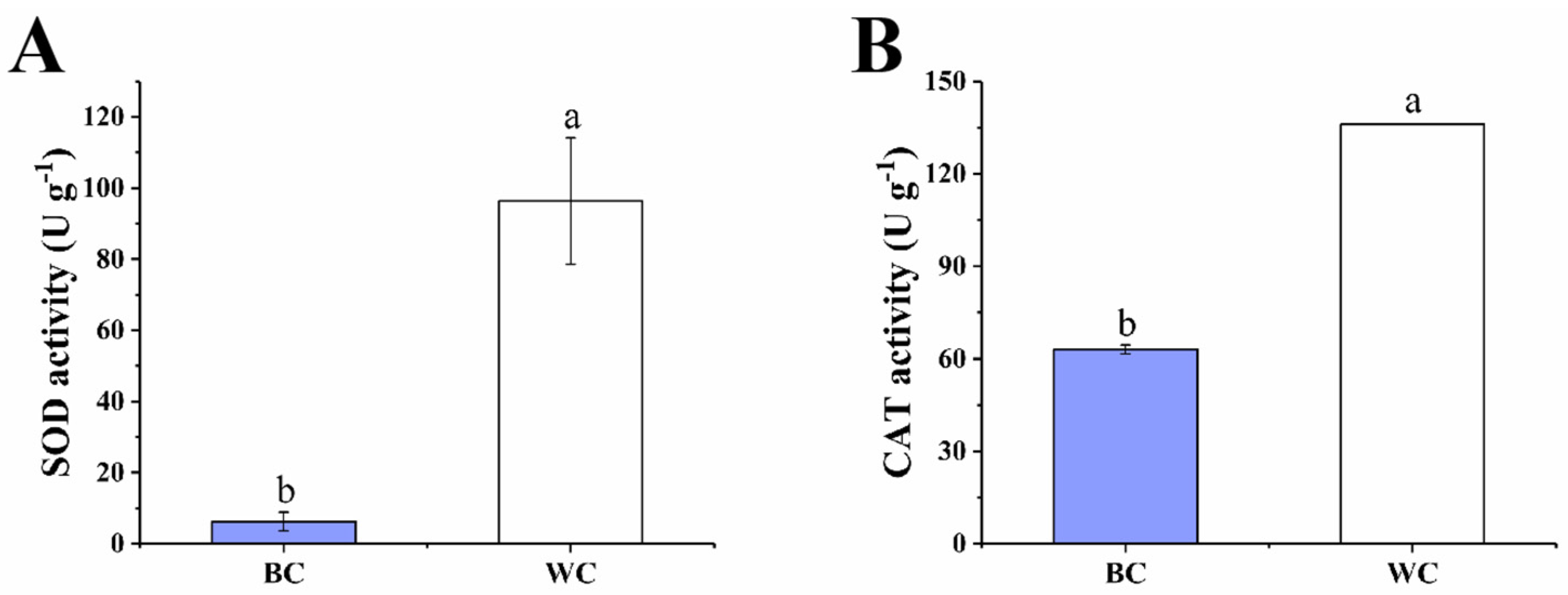 Foods 12 00677 g004 Foods 12 00677 g004
