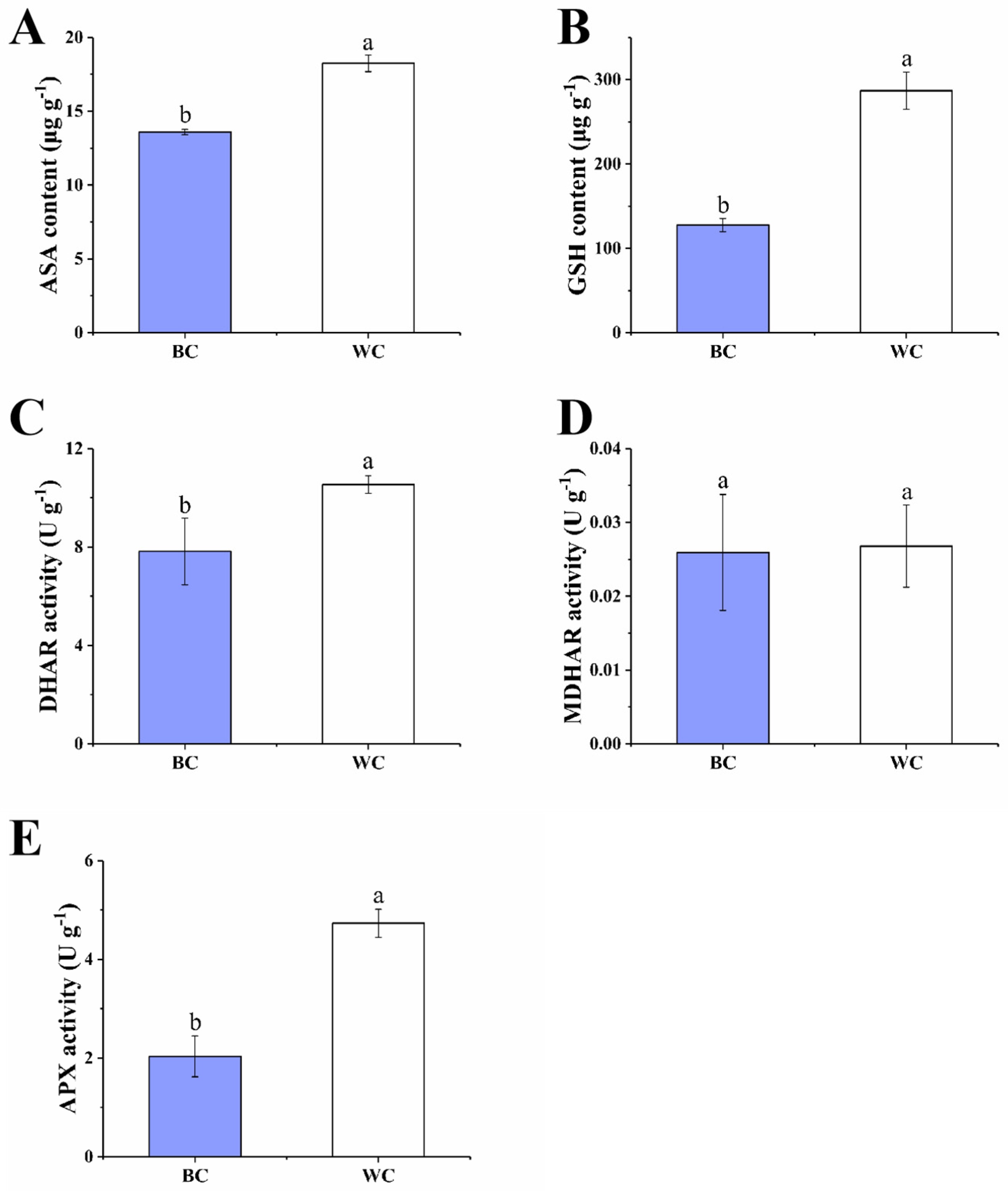 Foods 12 00677 g006 Foods 12 00677 g006