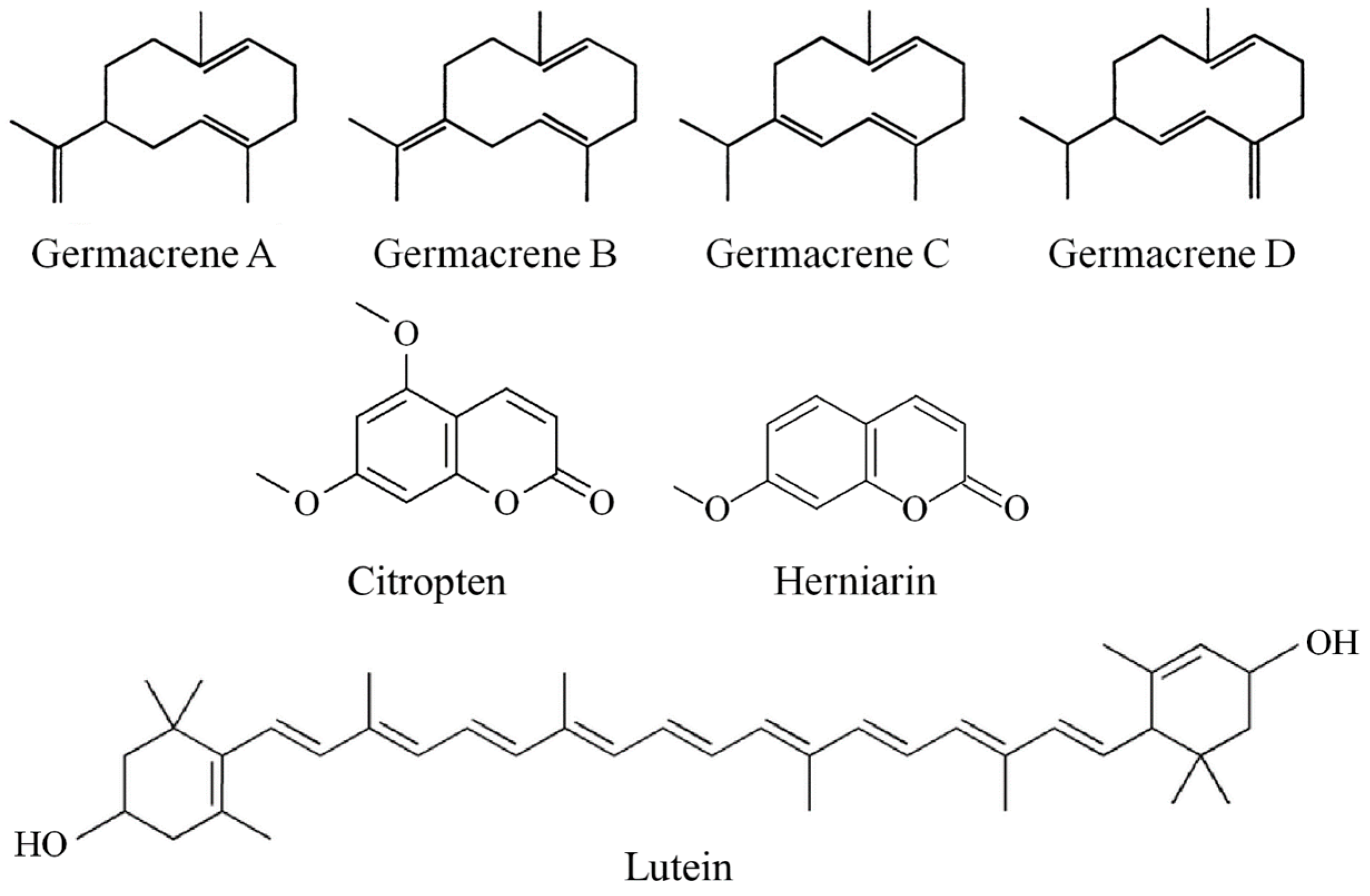 Foods 12 00680 g004 550