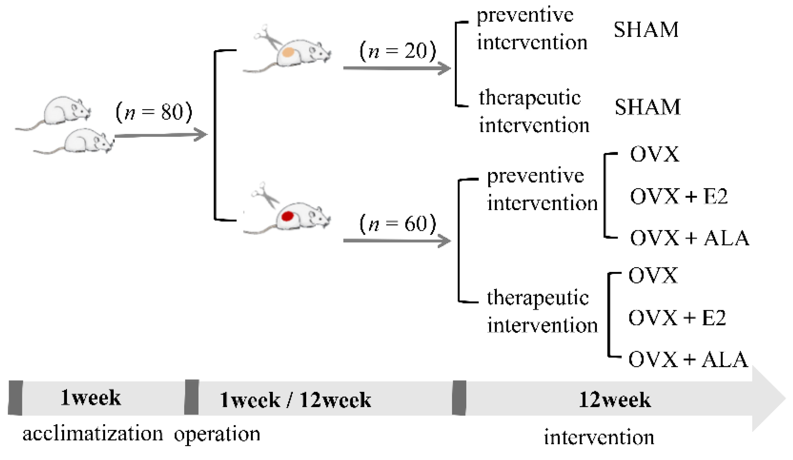 Foods 12 00682 g001 Foods 12 00682 g001