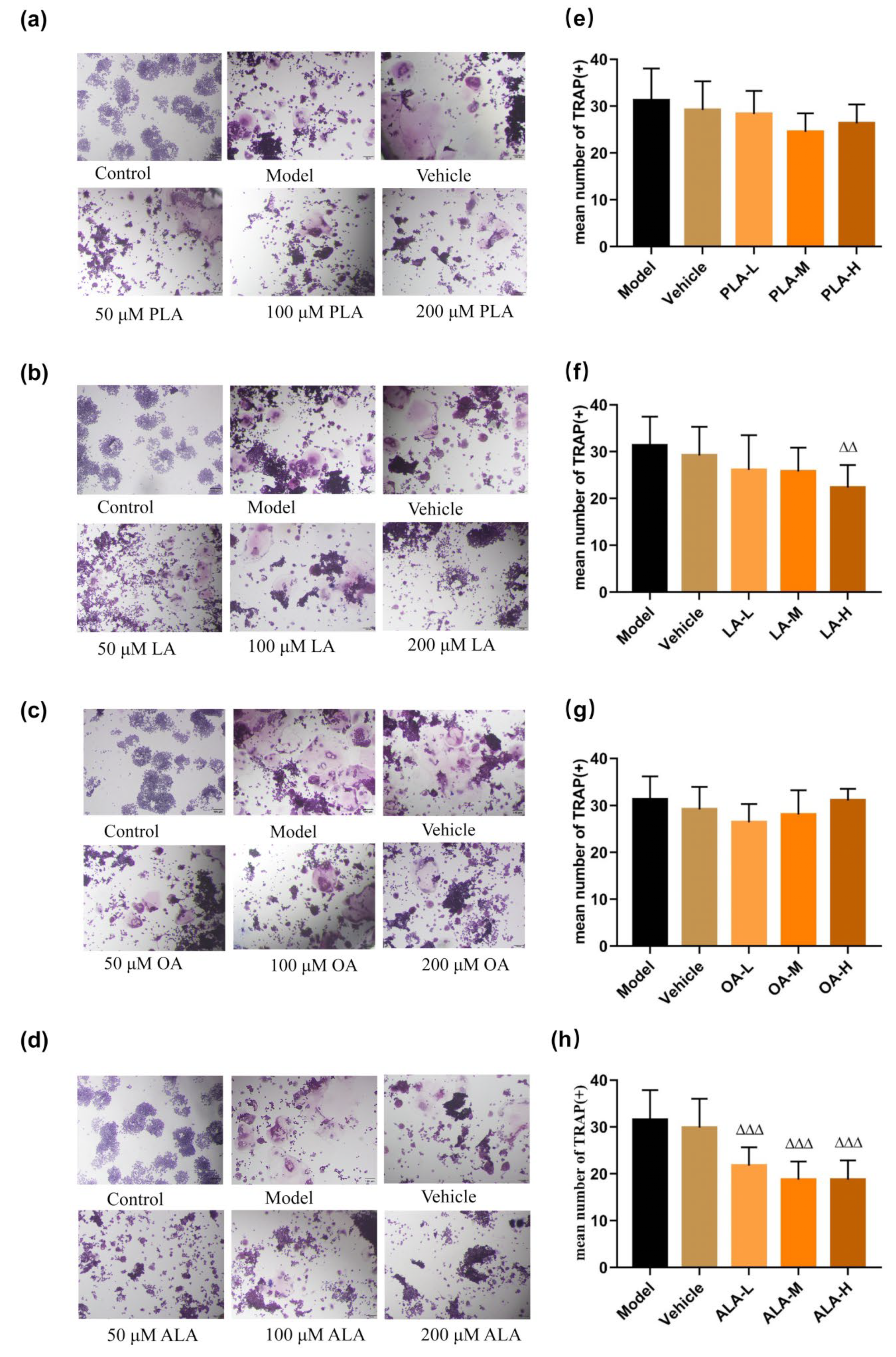 Foods 12 00682 g003 Foods 12 00682 g003