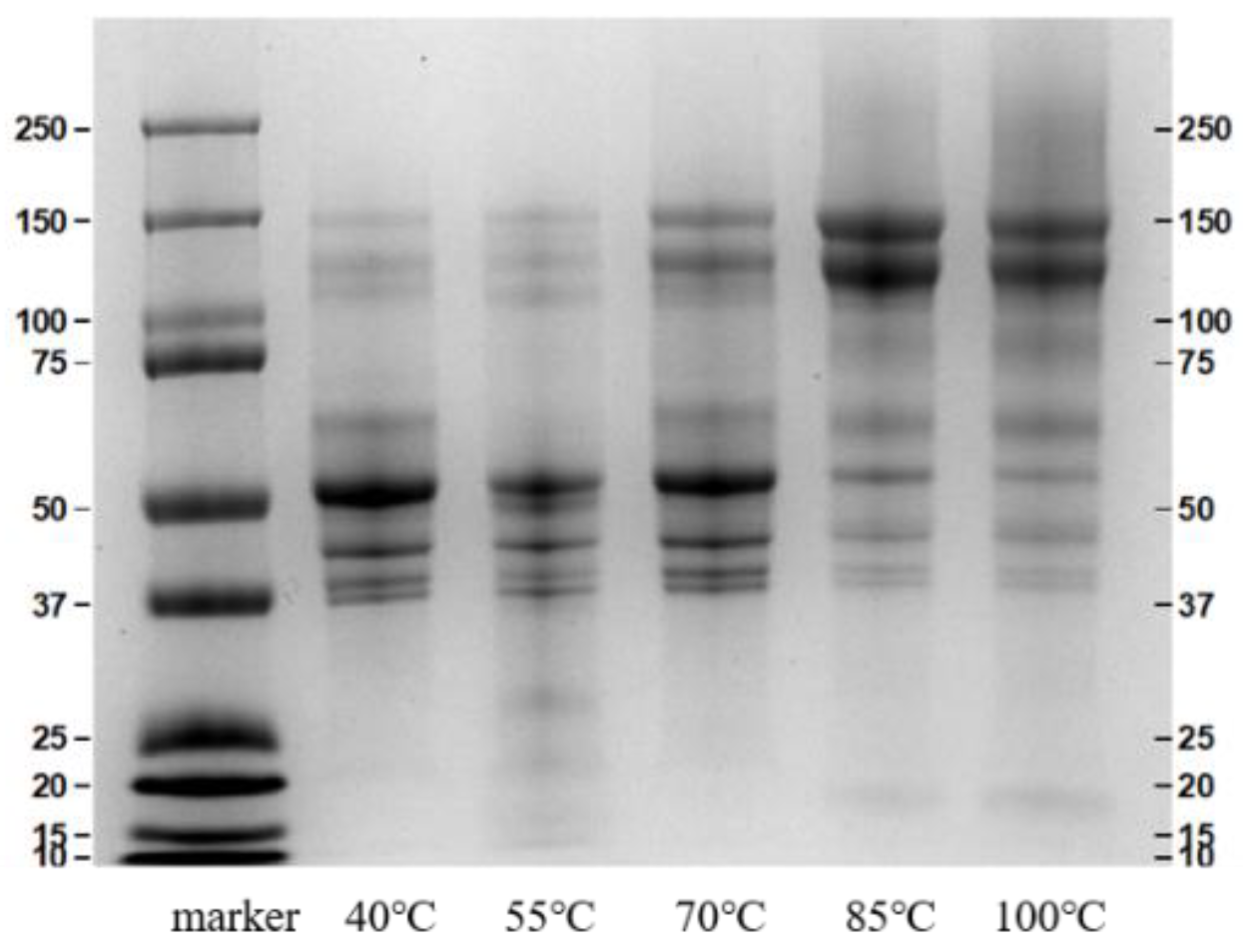 Foods 12 00688 g002 Foods 12 00688 g002
