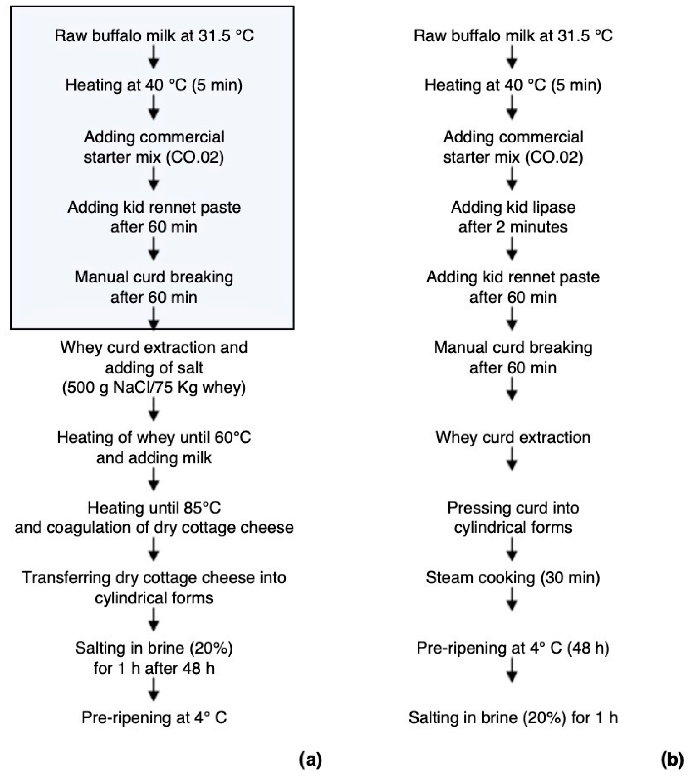 Foods 12 00704 g001 Foods 12 00704 g001