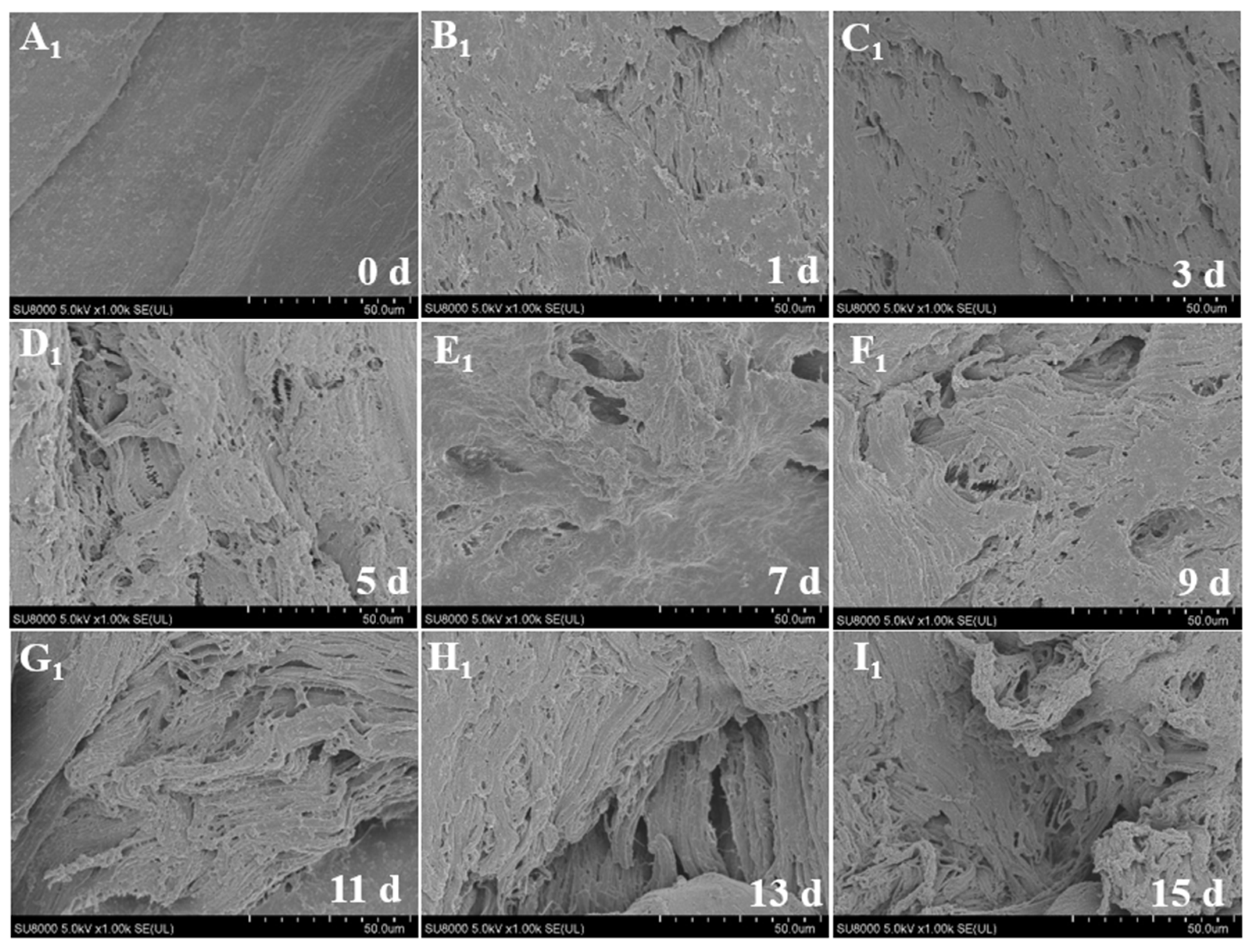 Foods 12 00716 g002 Foods 12 00716 g002