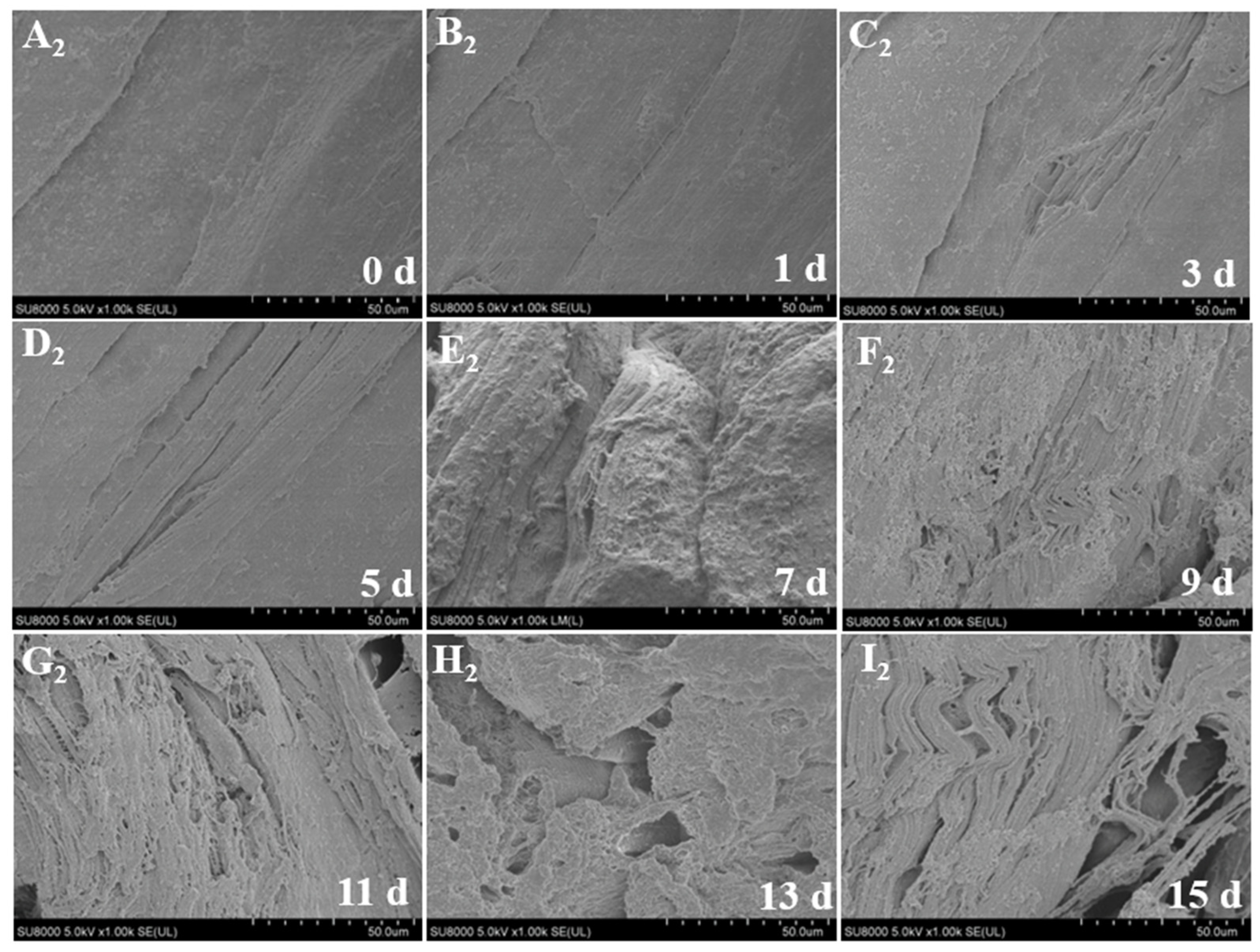 Foods 12 00716 g003 Foods 12 00716 g003