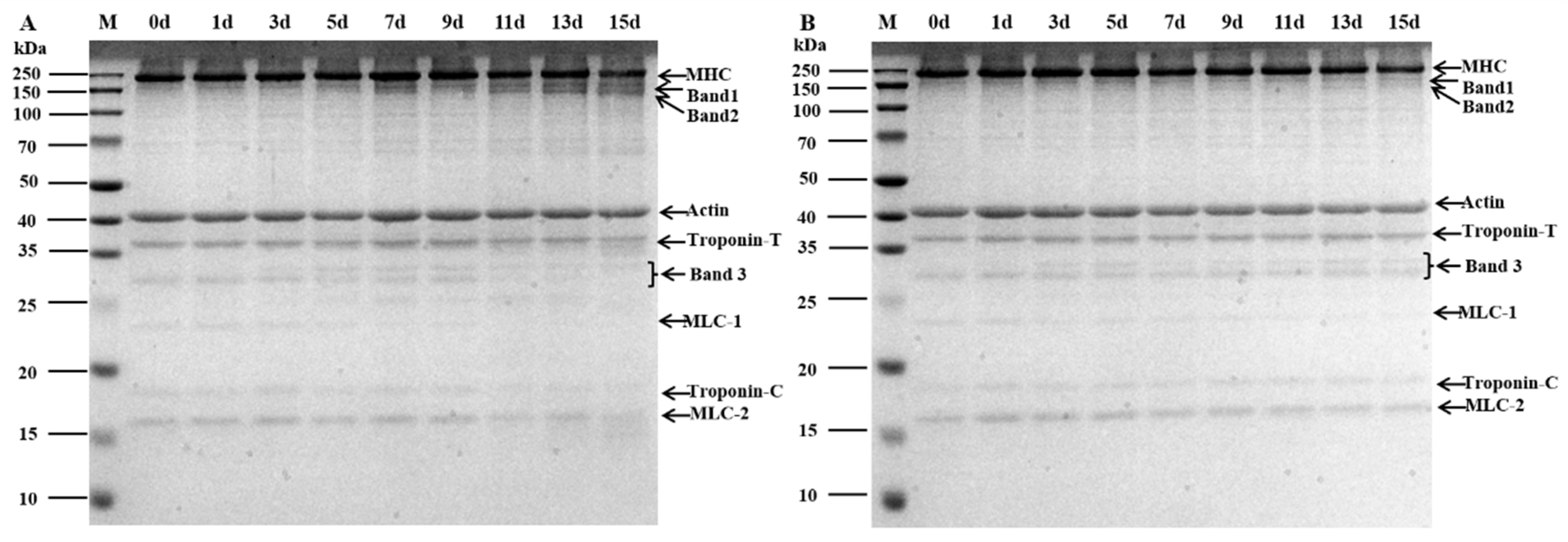 Foods 12 00716 g005 Foods 12 00716 g005