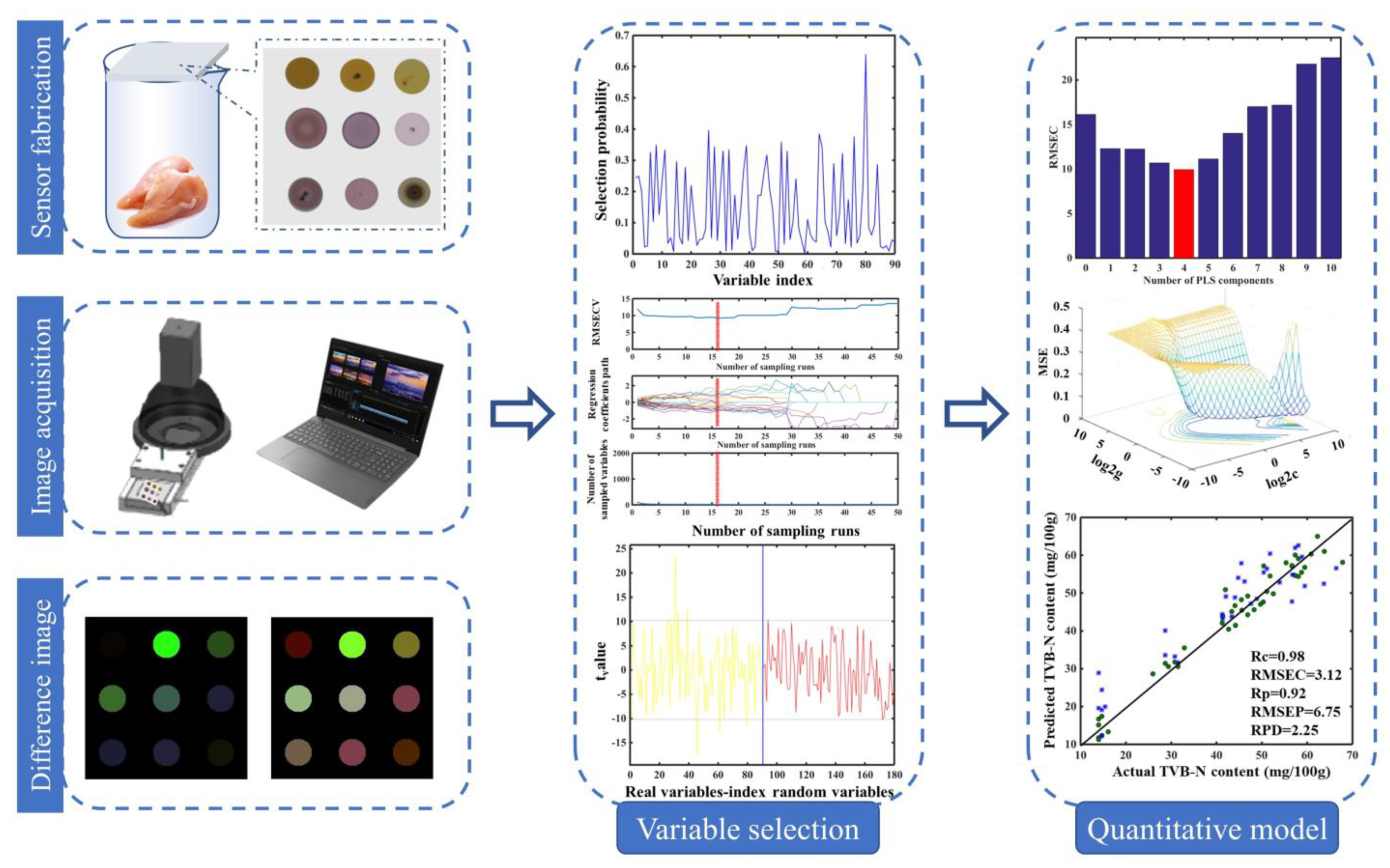 Foods 12 00720 sch001