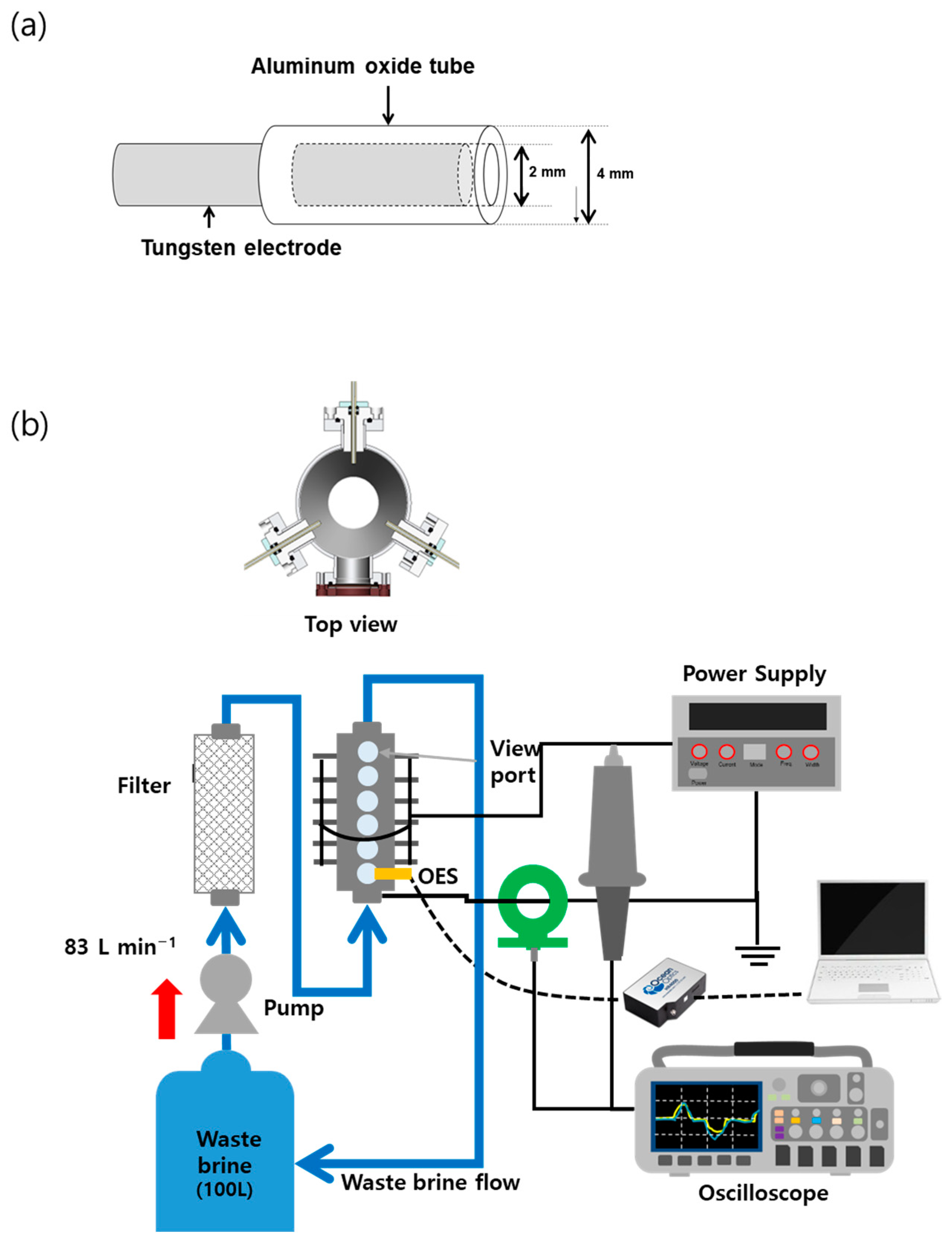 Foods 12 00728 g001 Foods 12 00728 g001