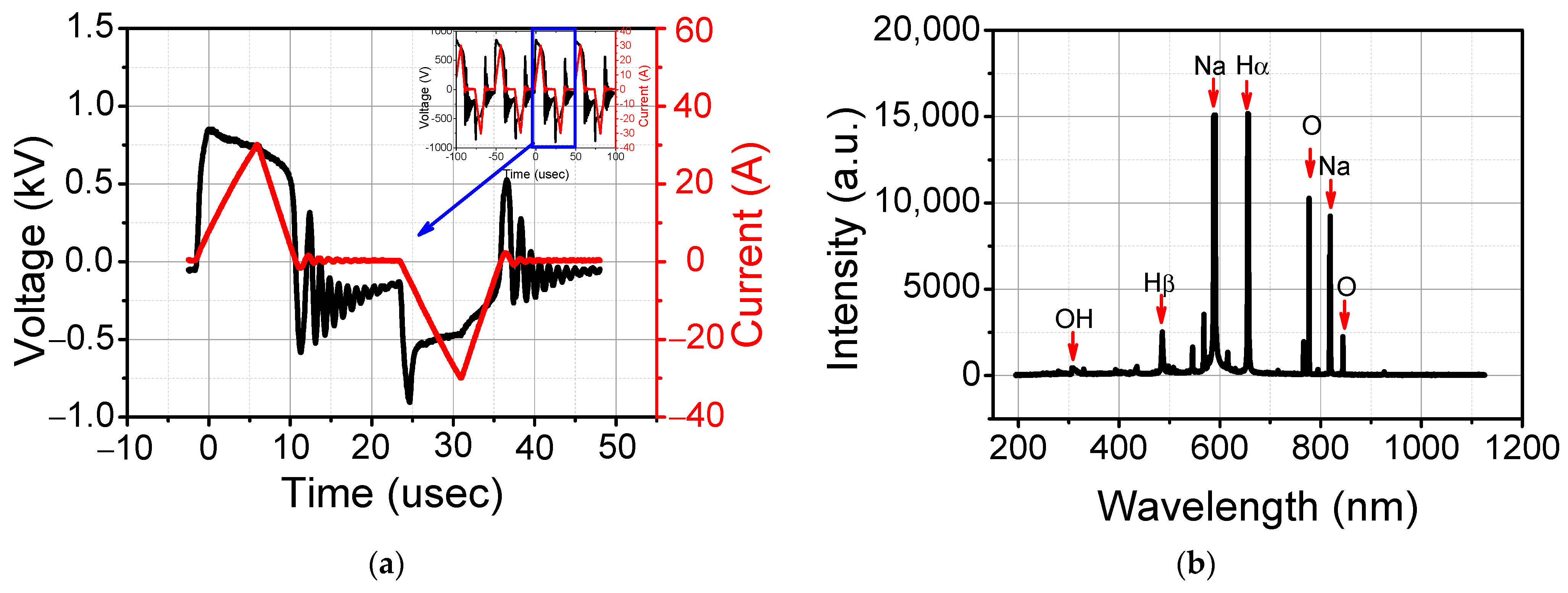 Foods 12 00728 g002 Foods 12 00728 g002