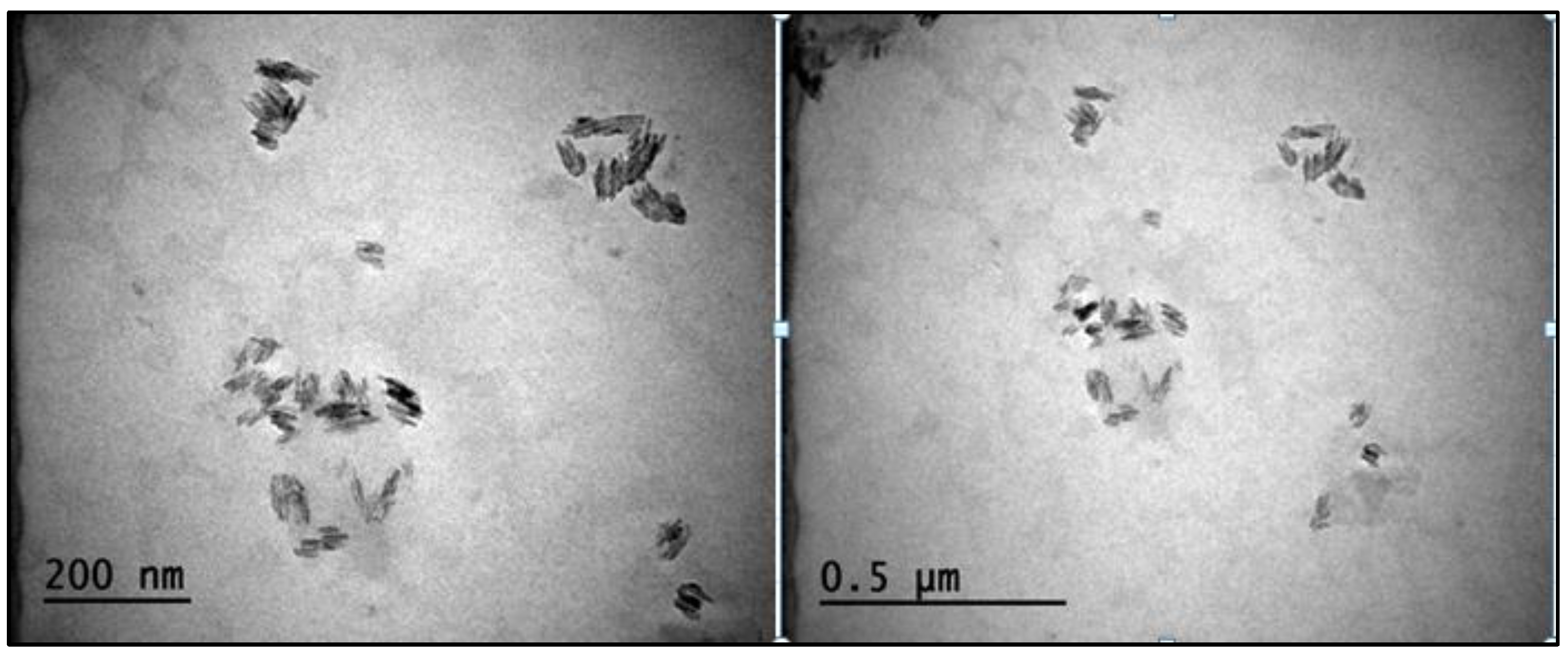 Foods 12 00746 g006 550