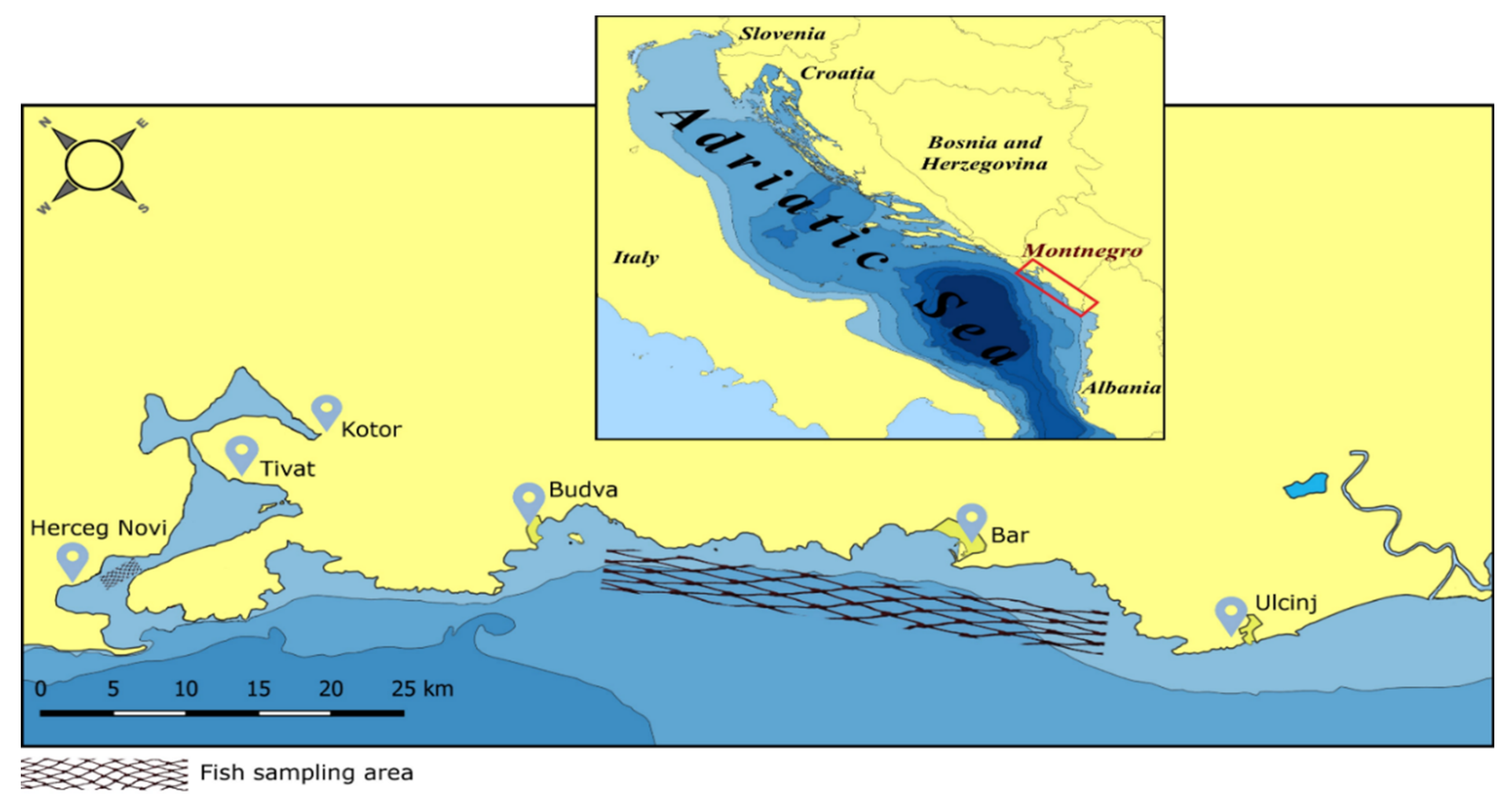 Foods 12 00762 g001 550